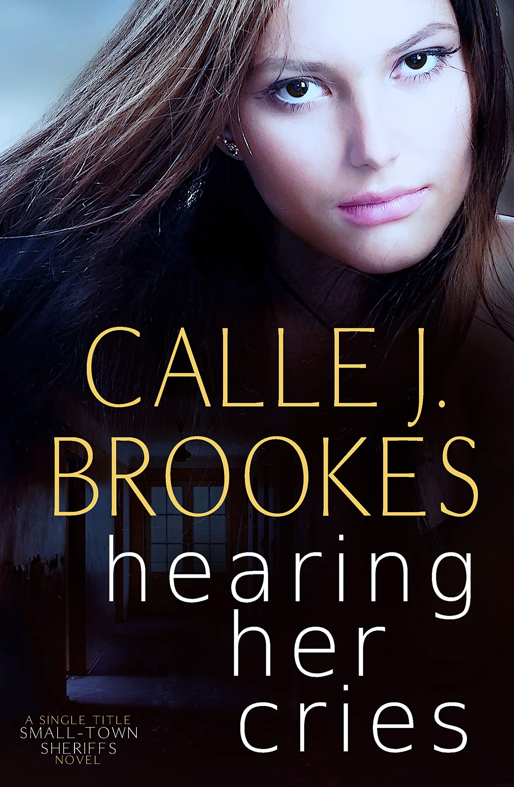 Small-Town Sheriffs book cover 2