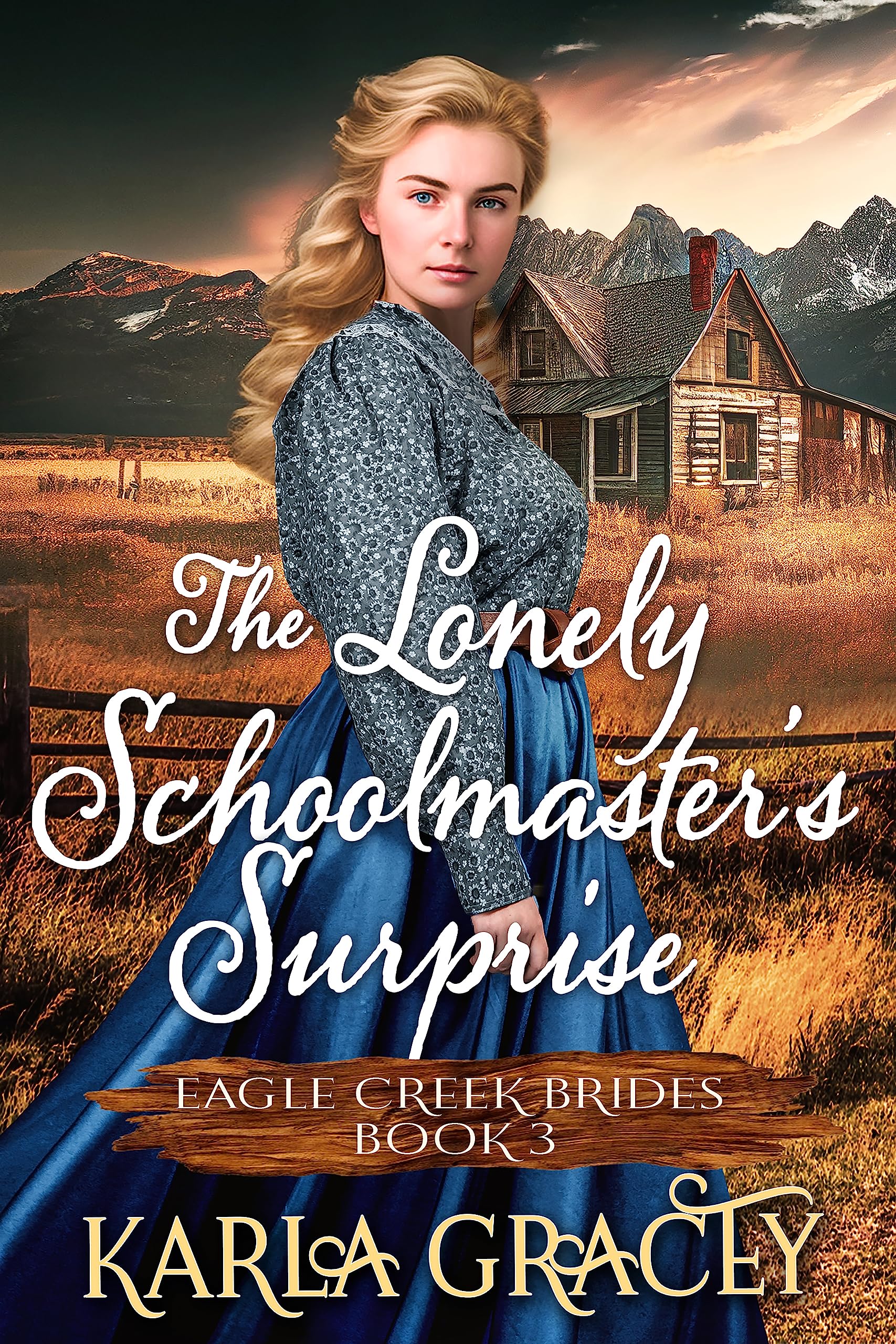 The Lonely Schoolmaster’s Surprise book cover