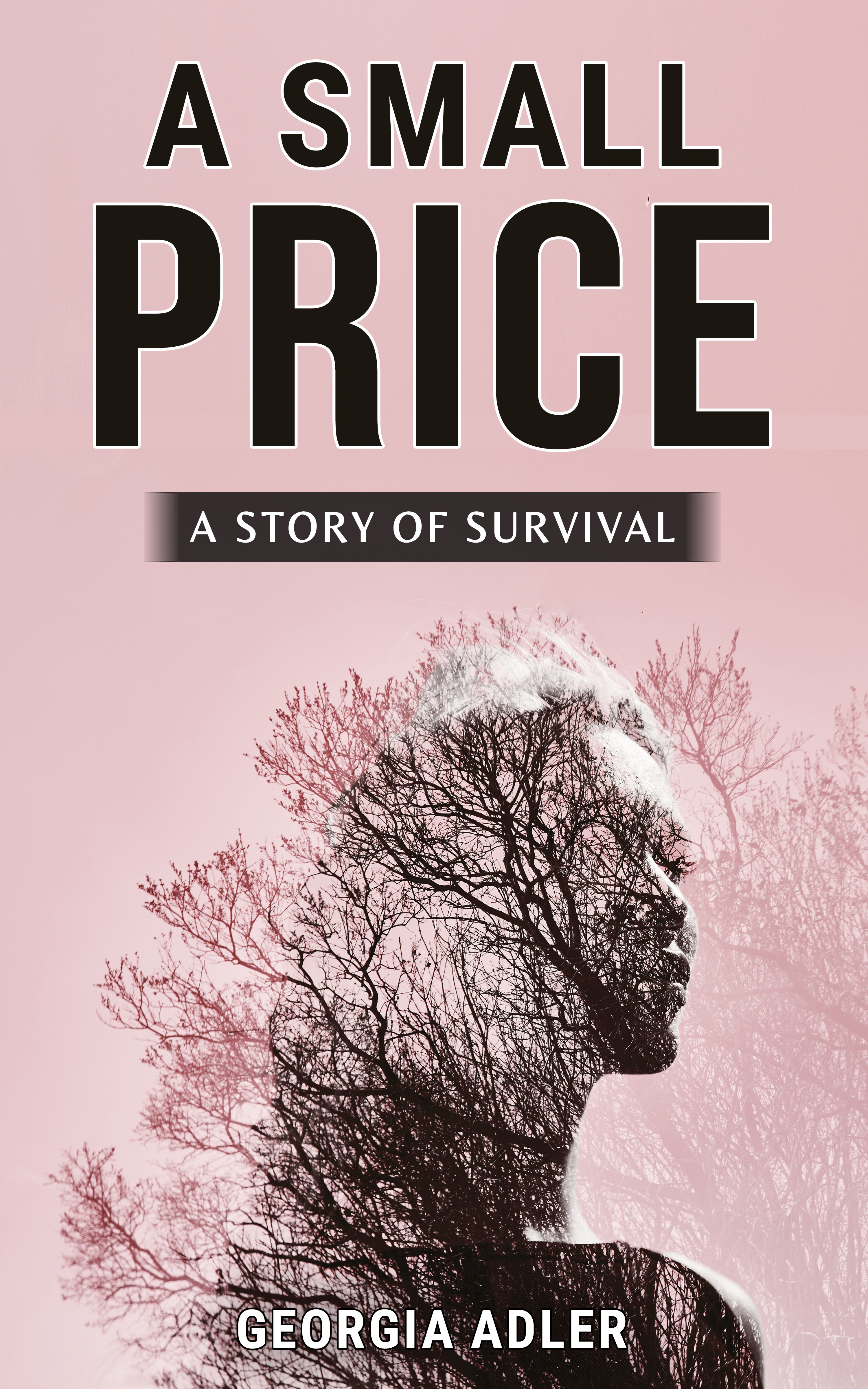 A Small Price: A Sensual Quest for Power and Love