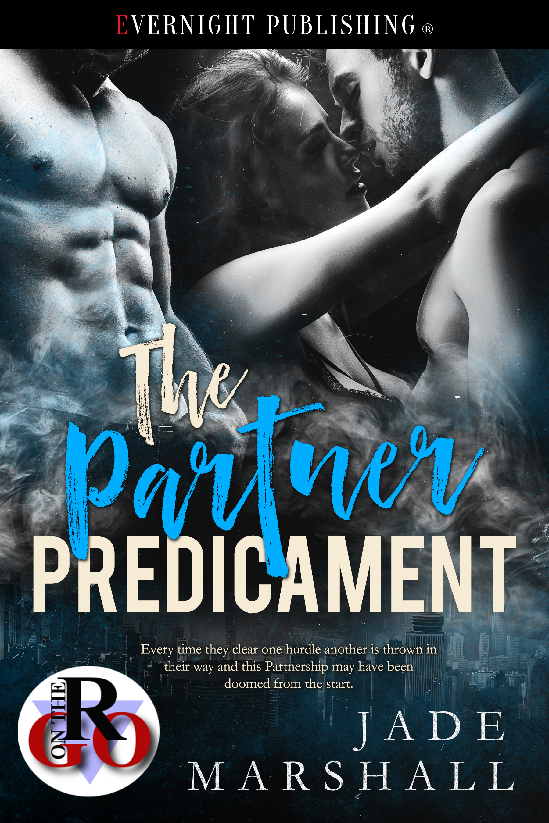The Partner Predicament book cover