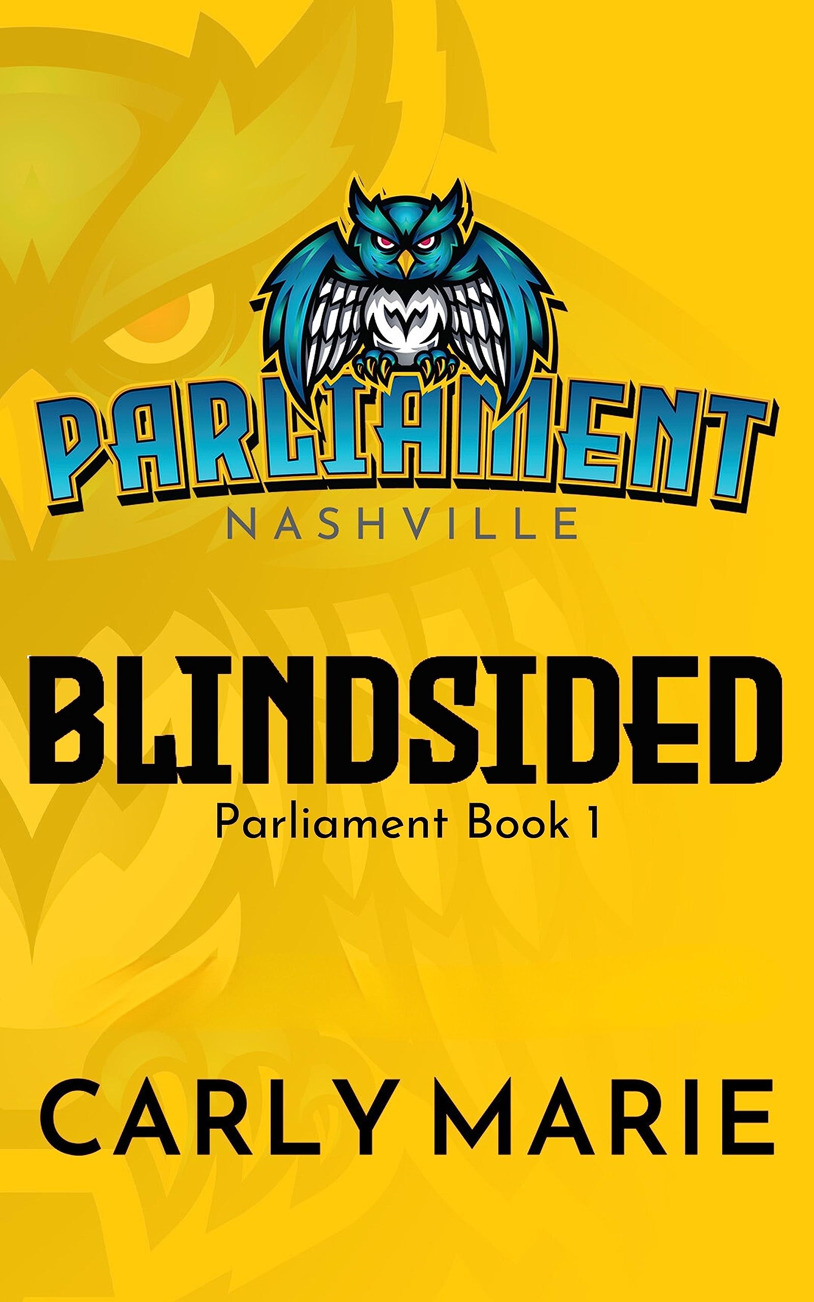 Blindsided book cover