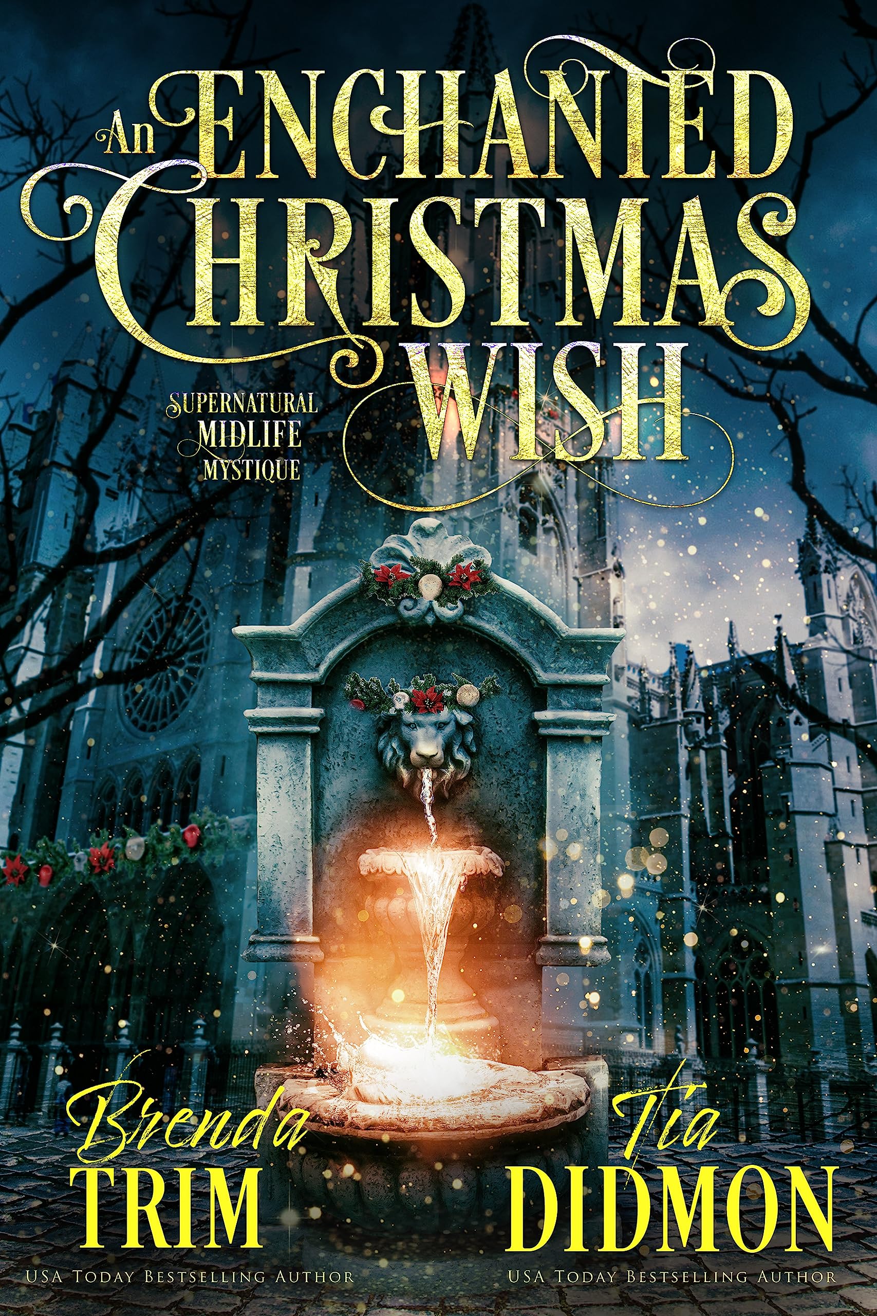 An Enchanted Christmas Wish book cover