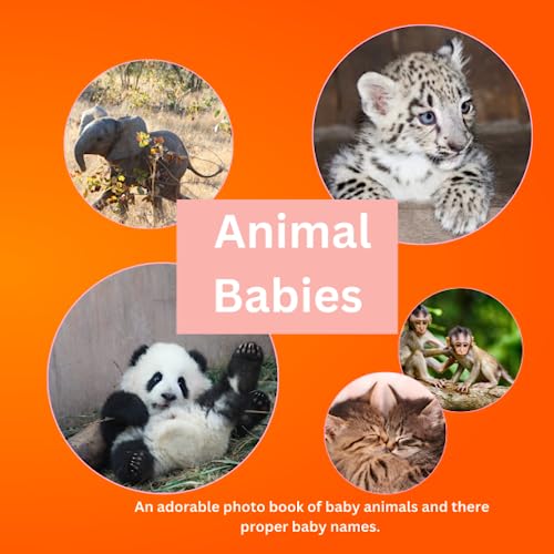 Animal Babies An adorable Photo Book of Baby Animals and their Baby