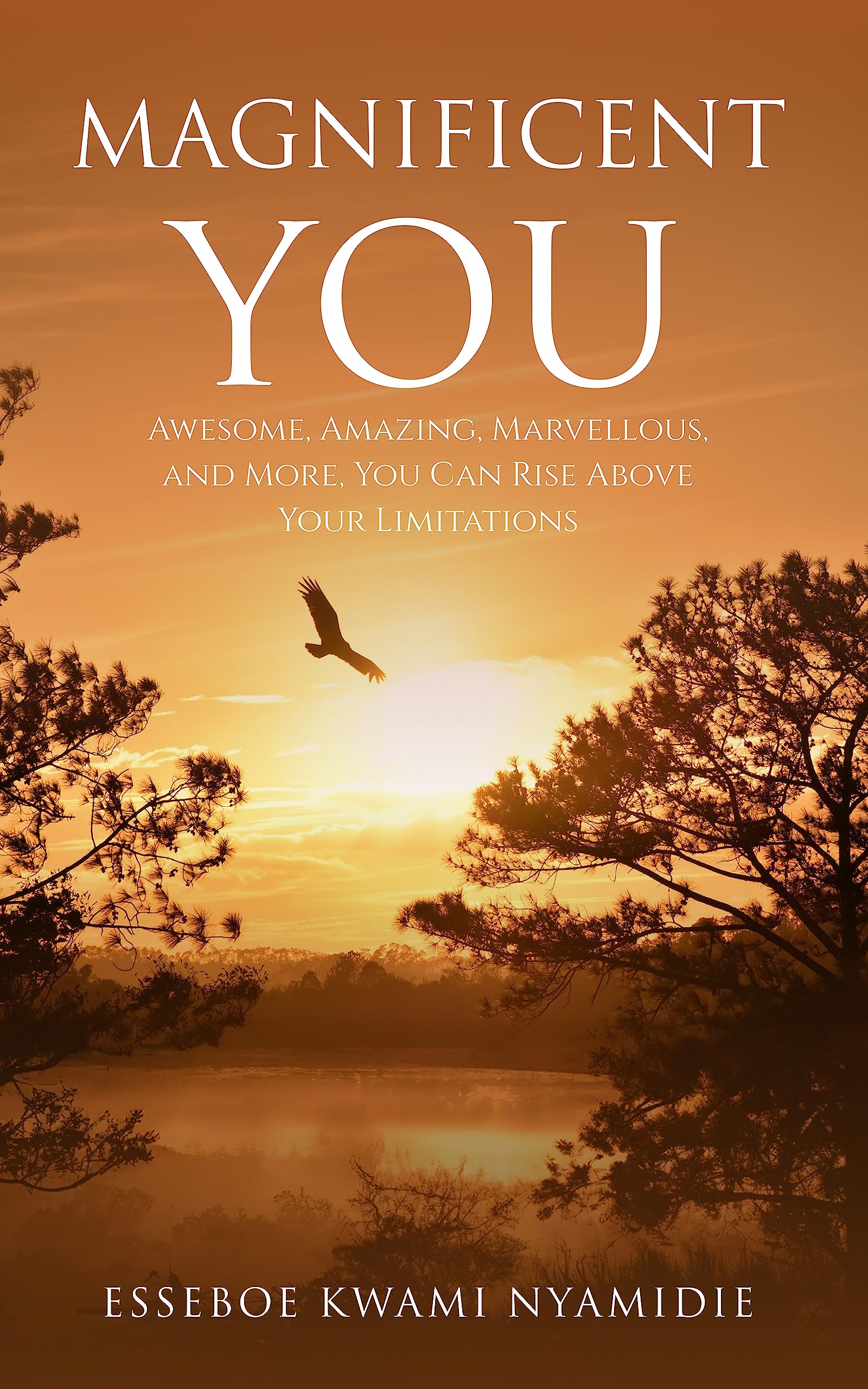 Magnificent You: Awesome, Amazing, Marvelous, and More, You Can Rise ...