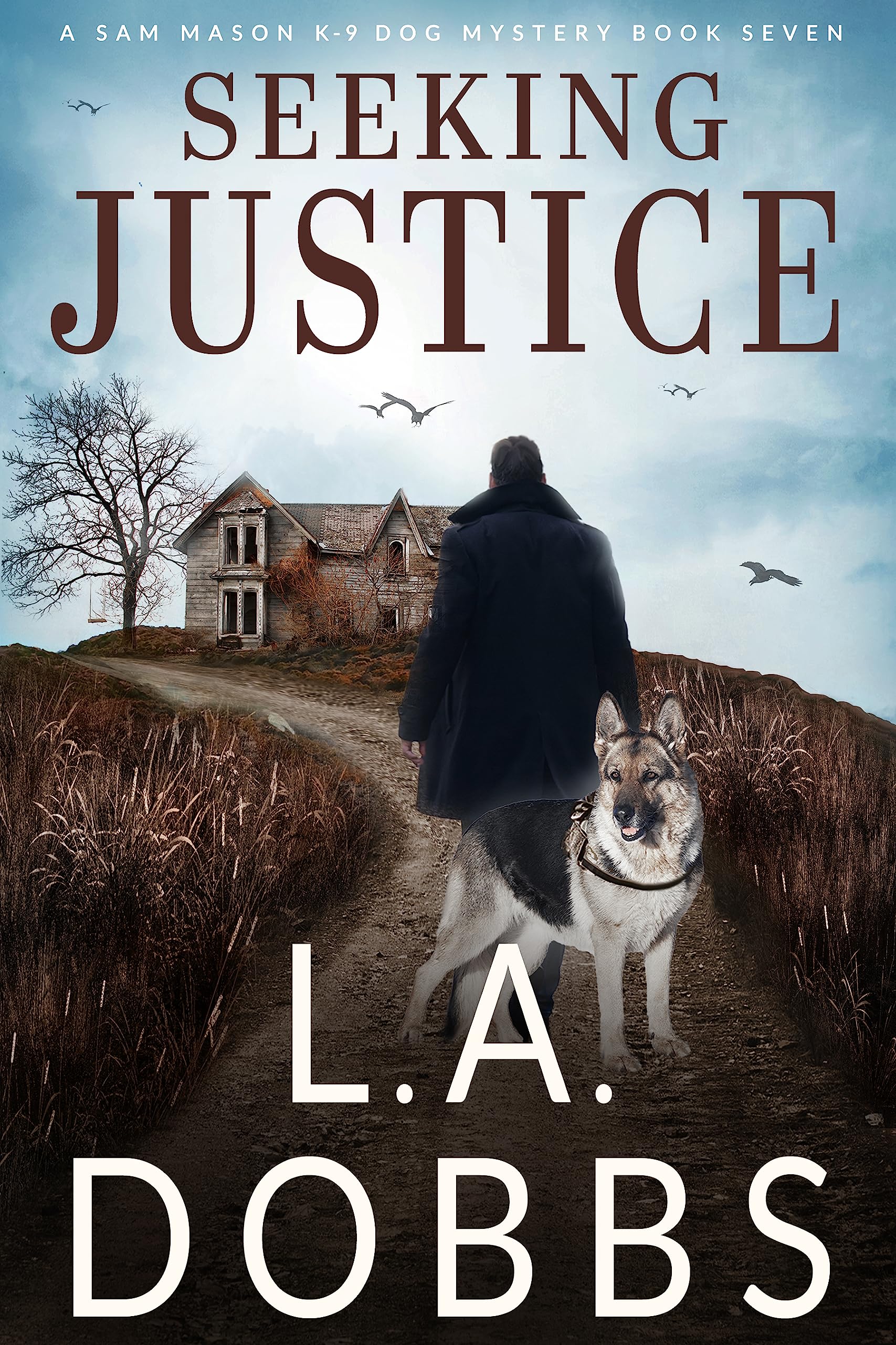 Seeking Justice book cover