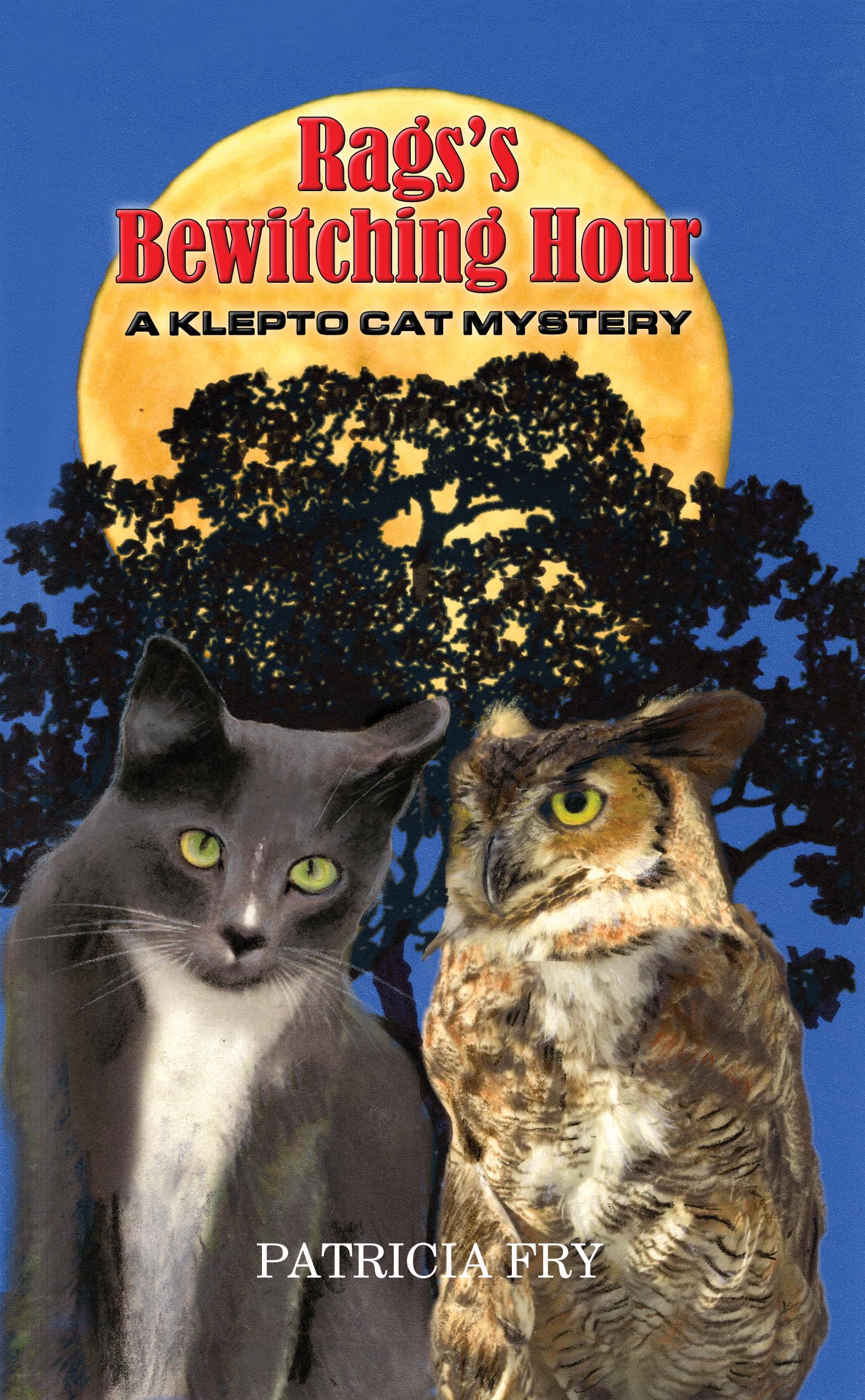 Rags’s Bewitching Hour: A Klepto Cat Mystery