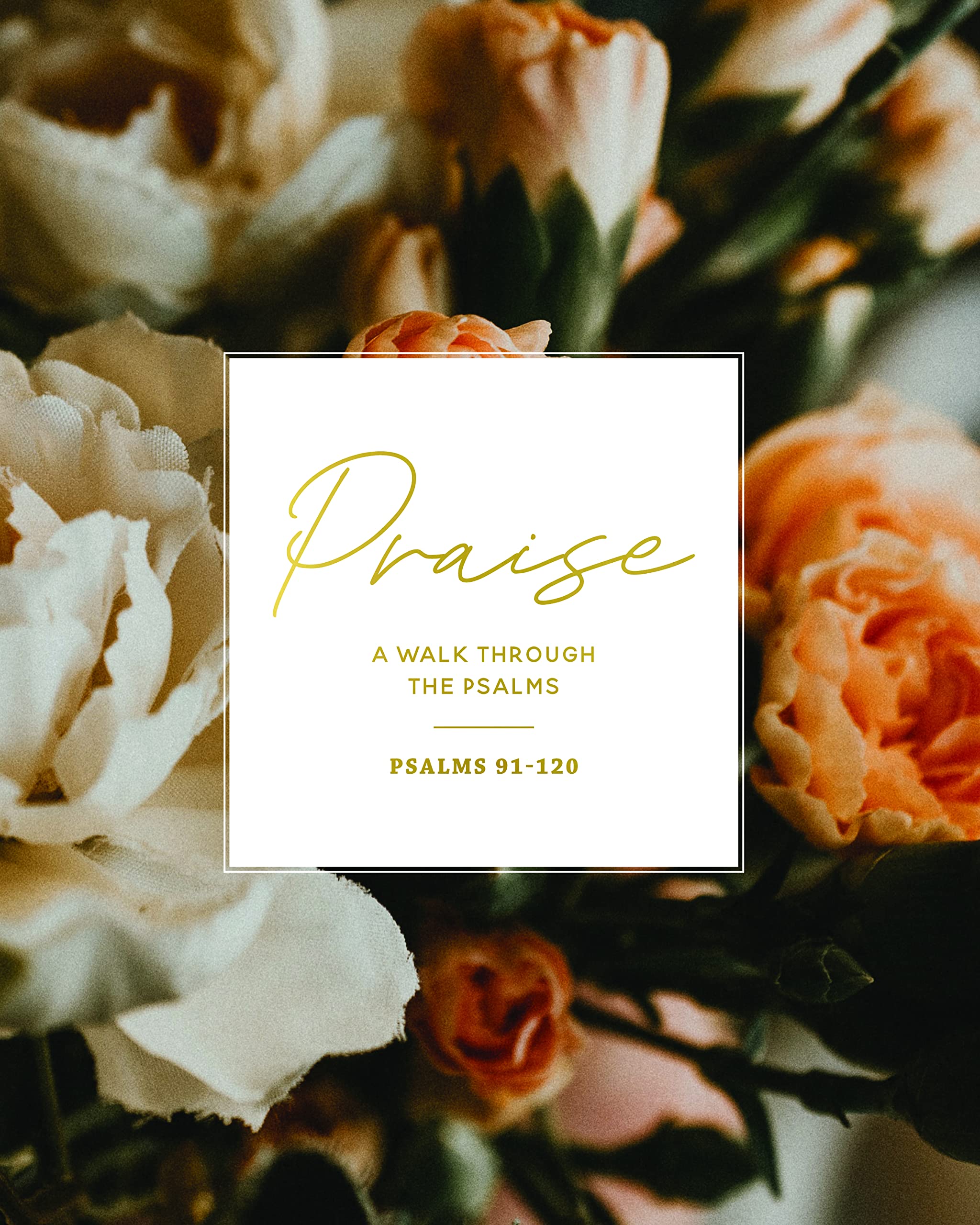 Praise | Psalms 91-120