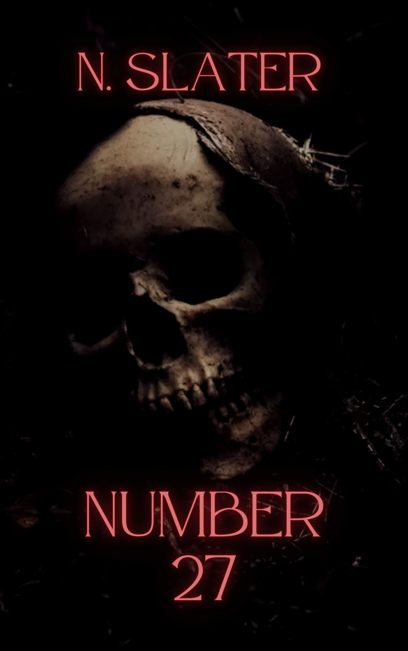 Number 27 book cover