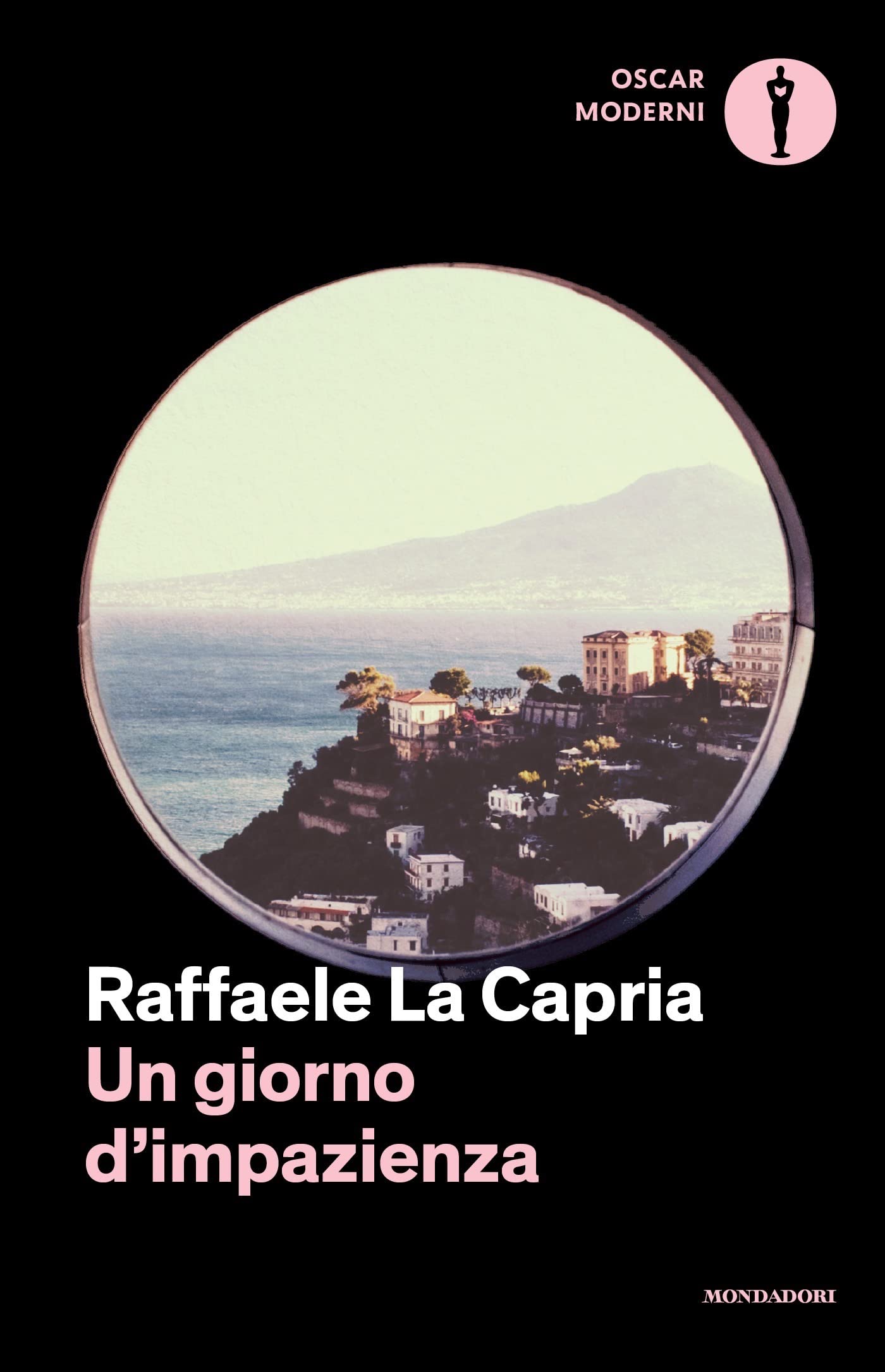 Un giorno d'impazienza book cover