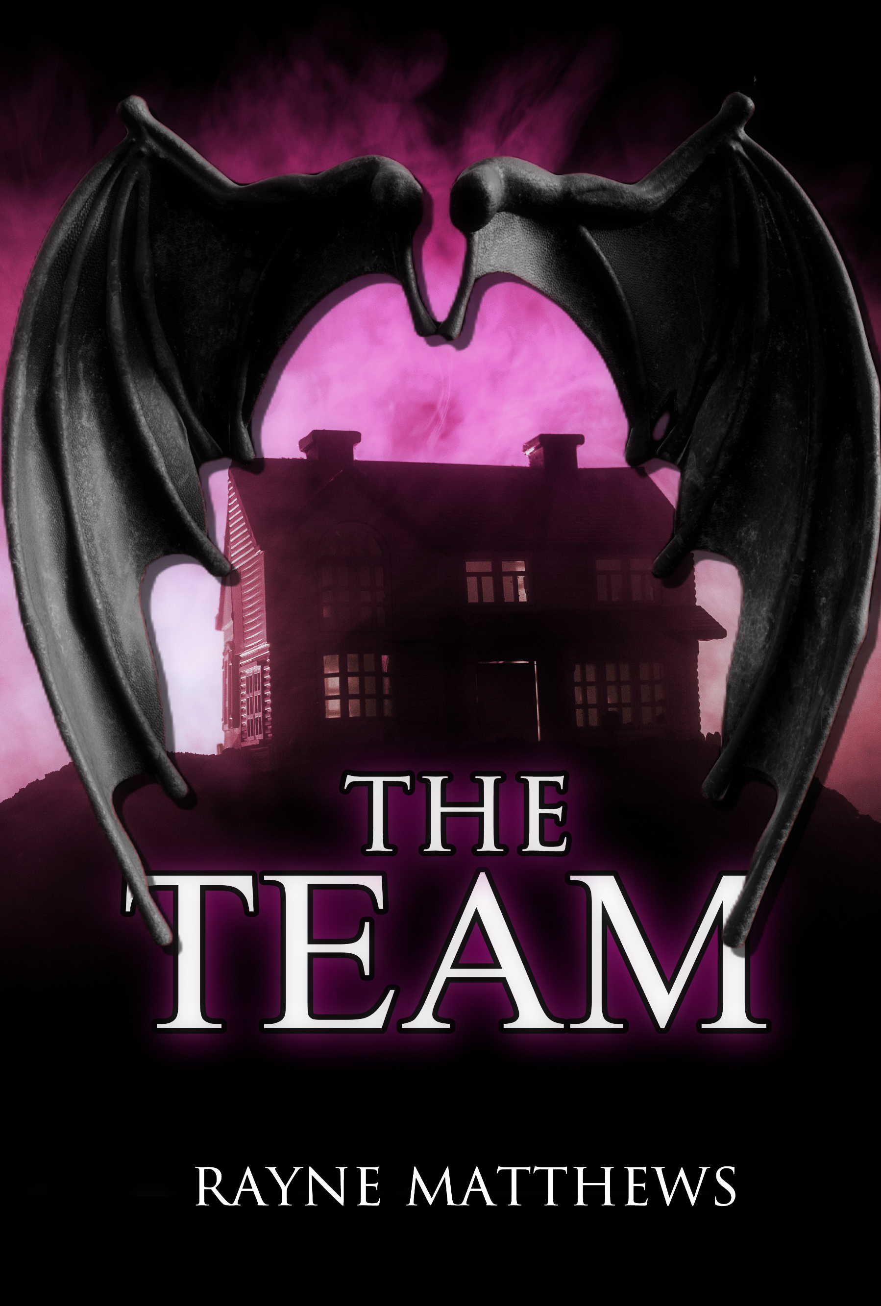 The Team book cover