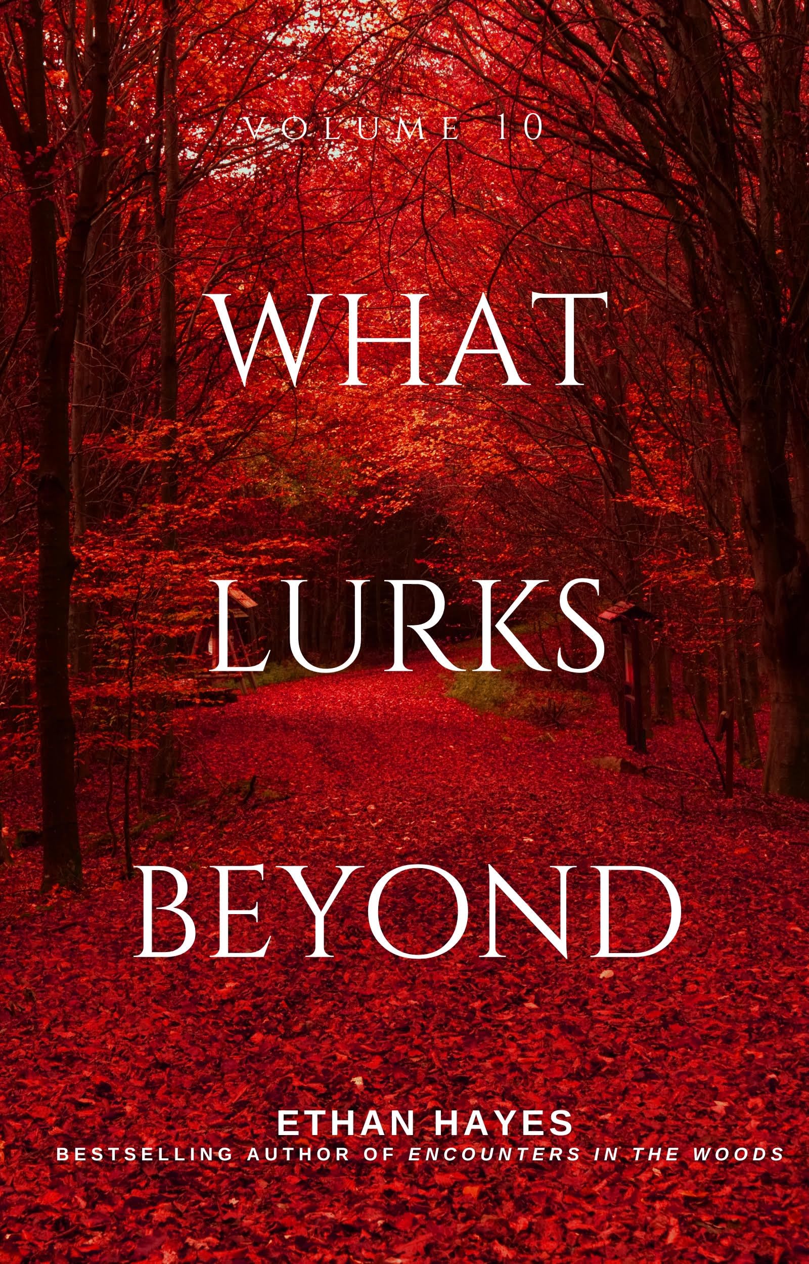 What Lurks Beyond: Volume 10