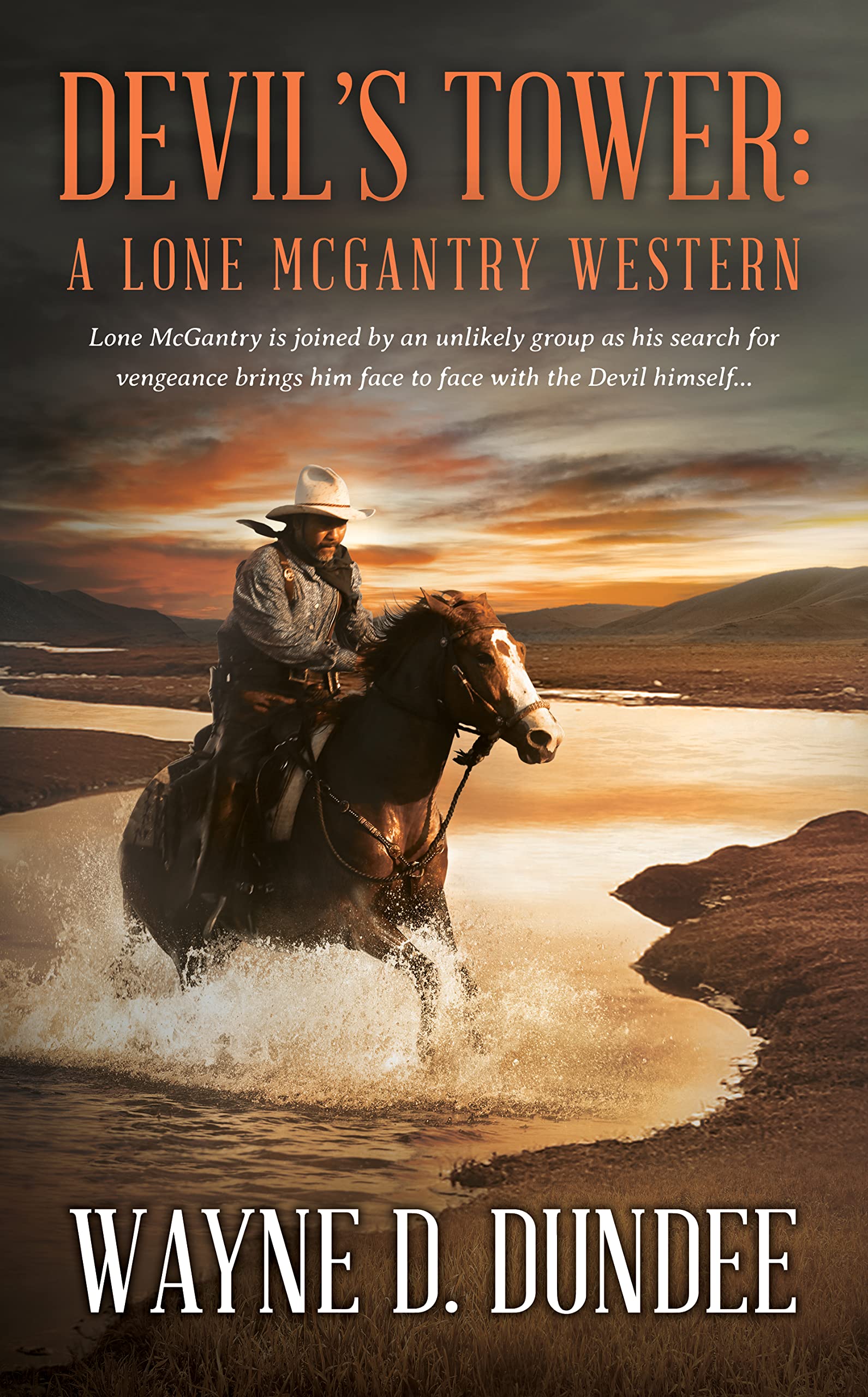 Devil's Tower book cover