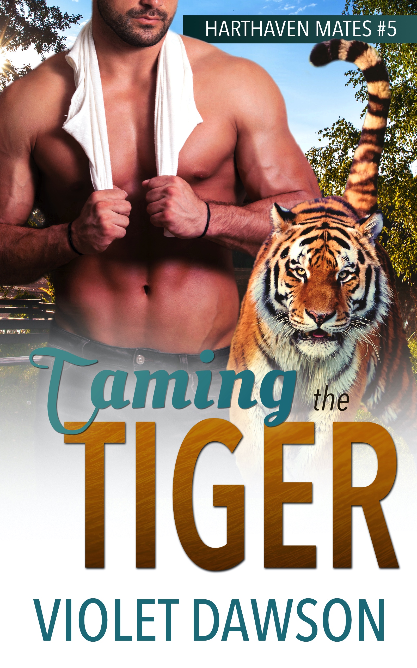 Taming the Tiger