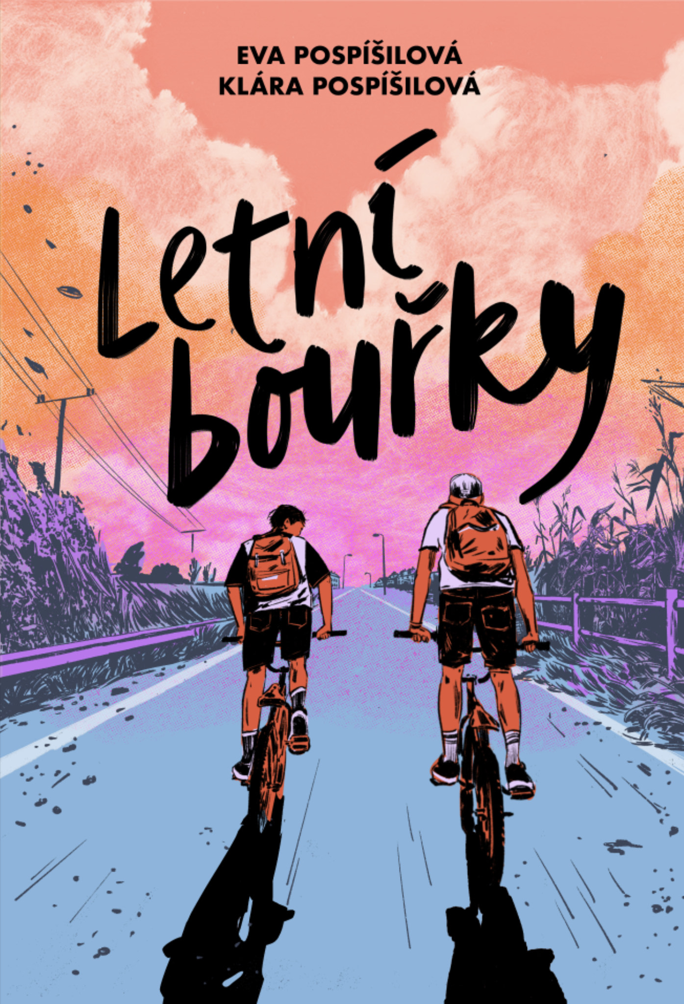 Letní bouřky book cover