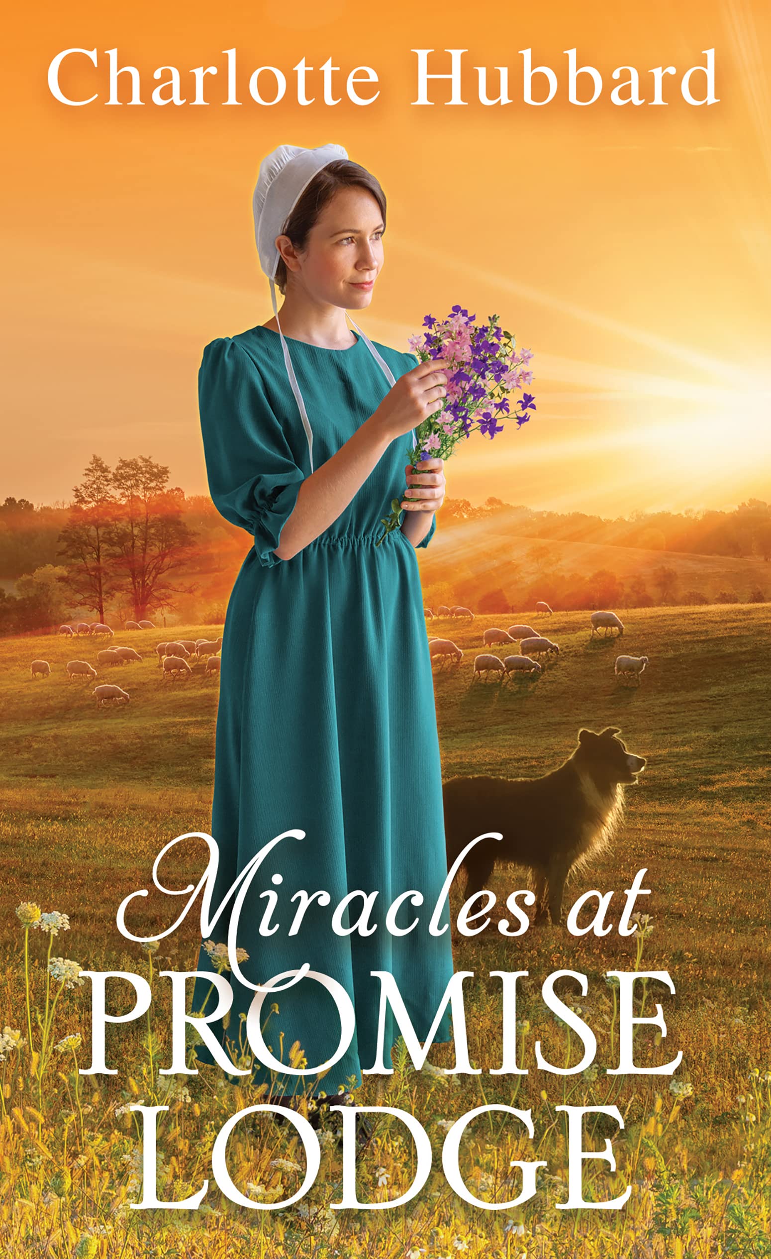 Miracles at Promise Lodge book cover