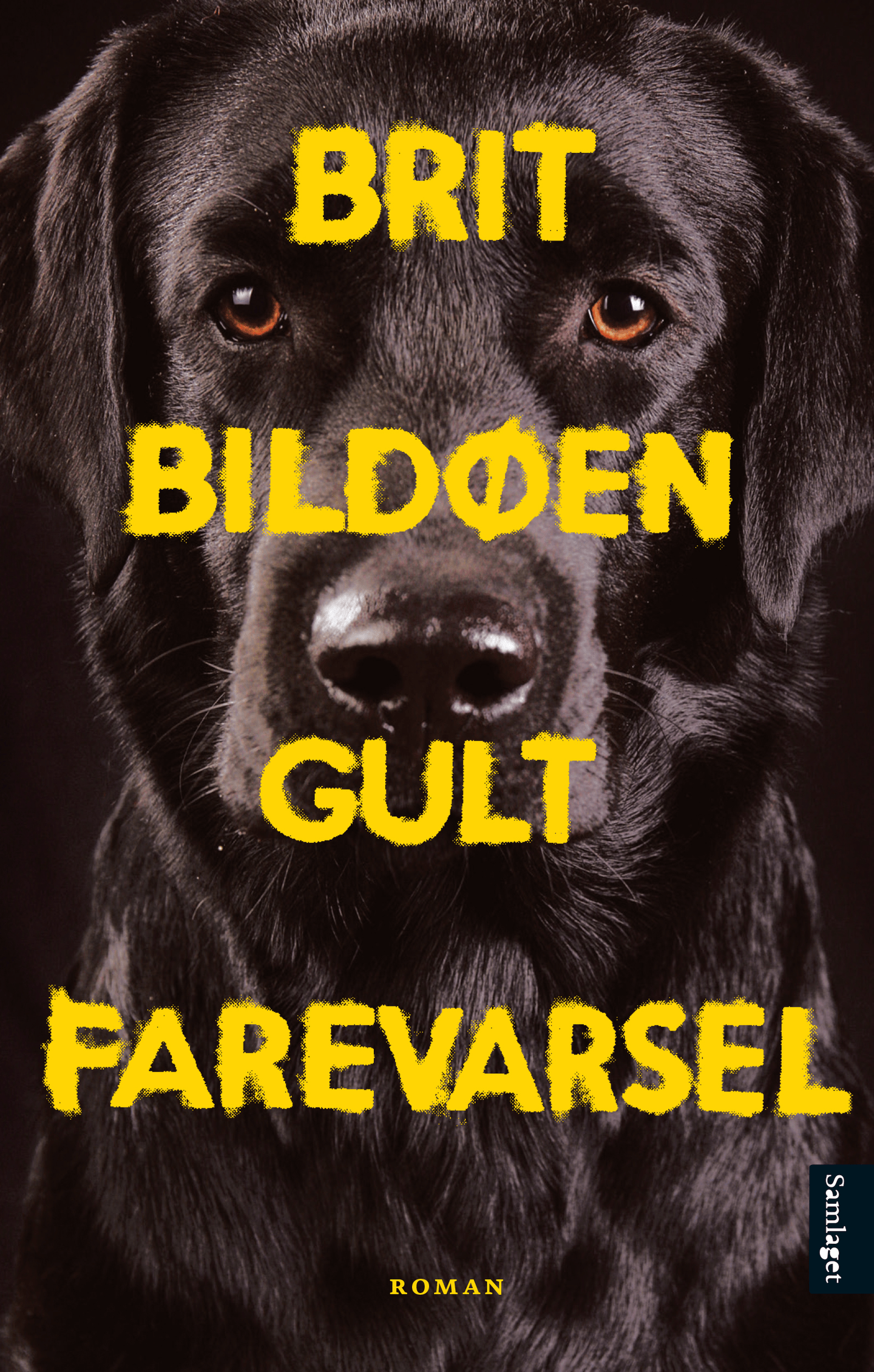 Gult farevarsel book cover