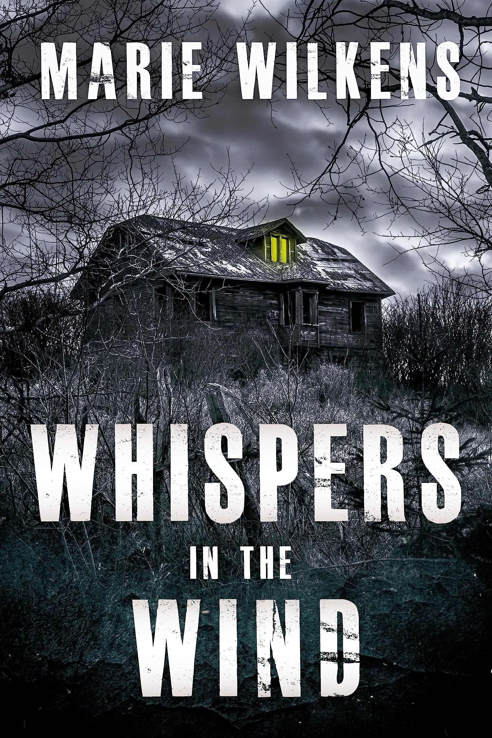 Whispers in the Wind: A Small Town Riveting Kidnapping Mystery Boxset