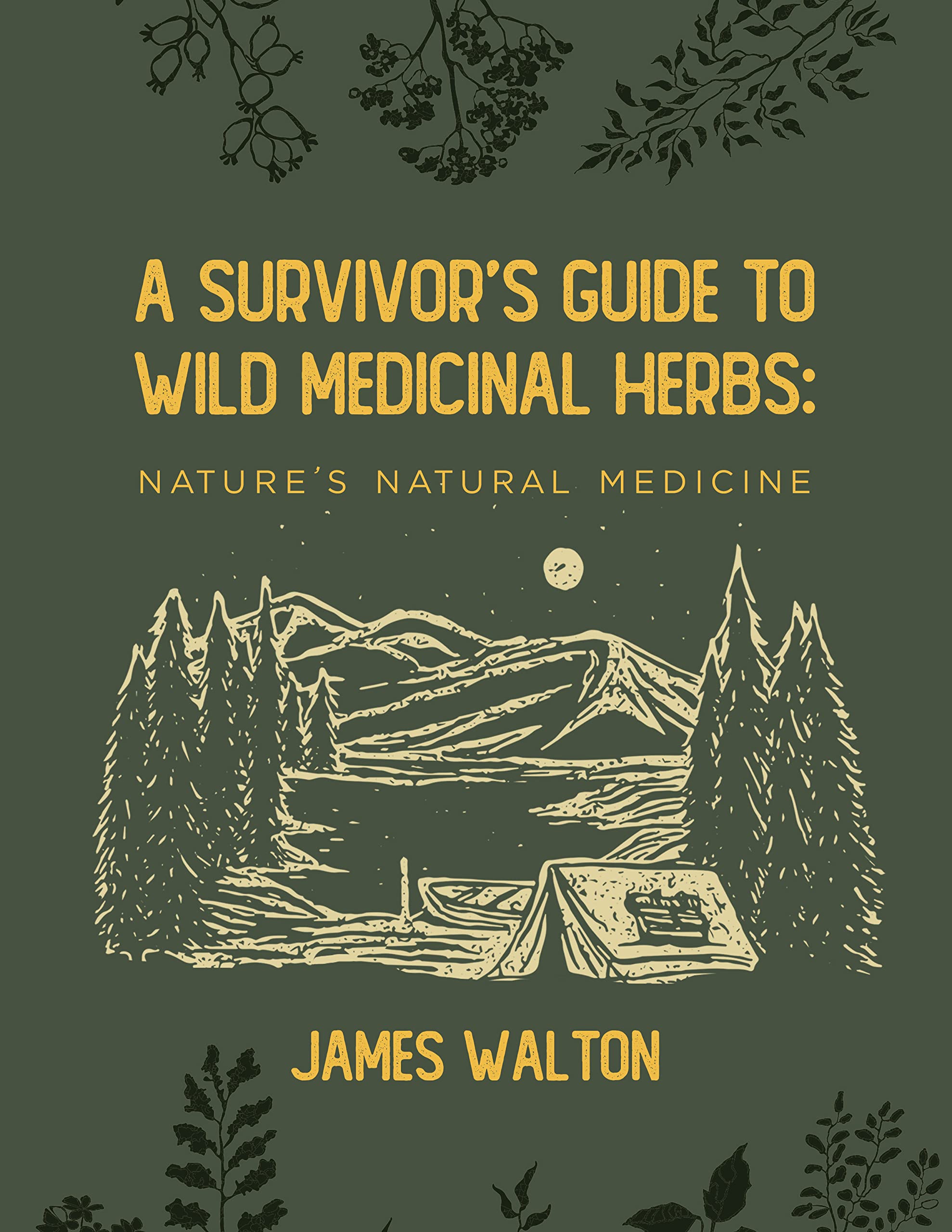 A Survivor’s Guide to Wild Medicinal Herbs: Nature’s Natural Medicine