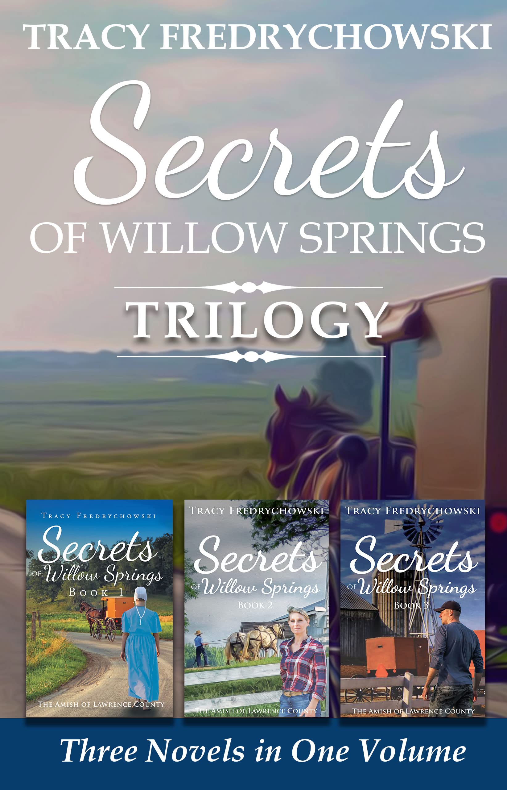 Secrets of Willow Springs Trilogy: Amish Mystery Series - Three Novels in One Volume