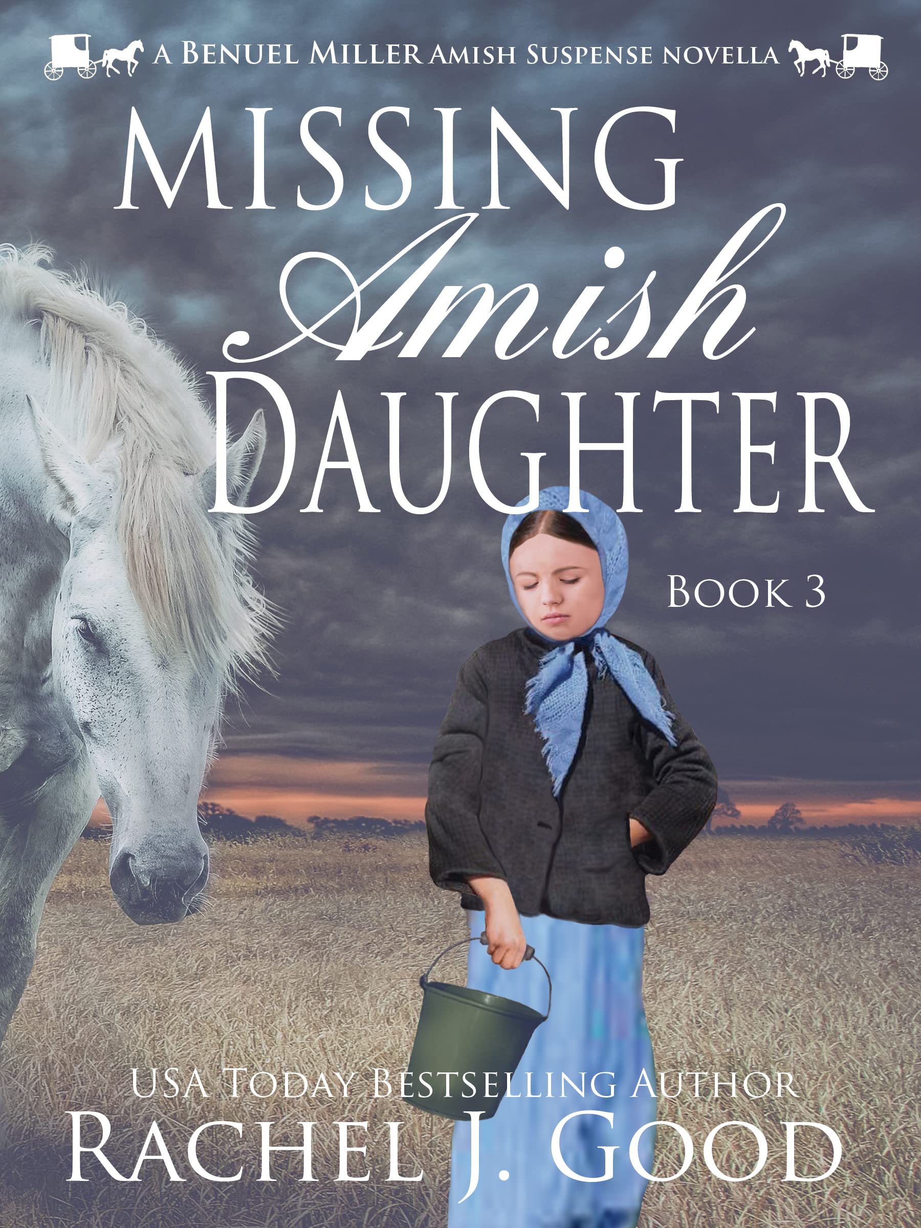 Amish Detective Benuel Miller book cover 2