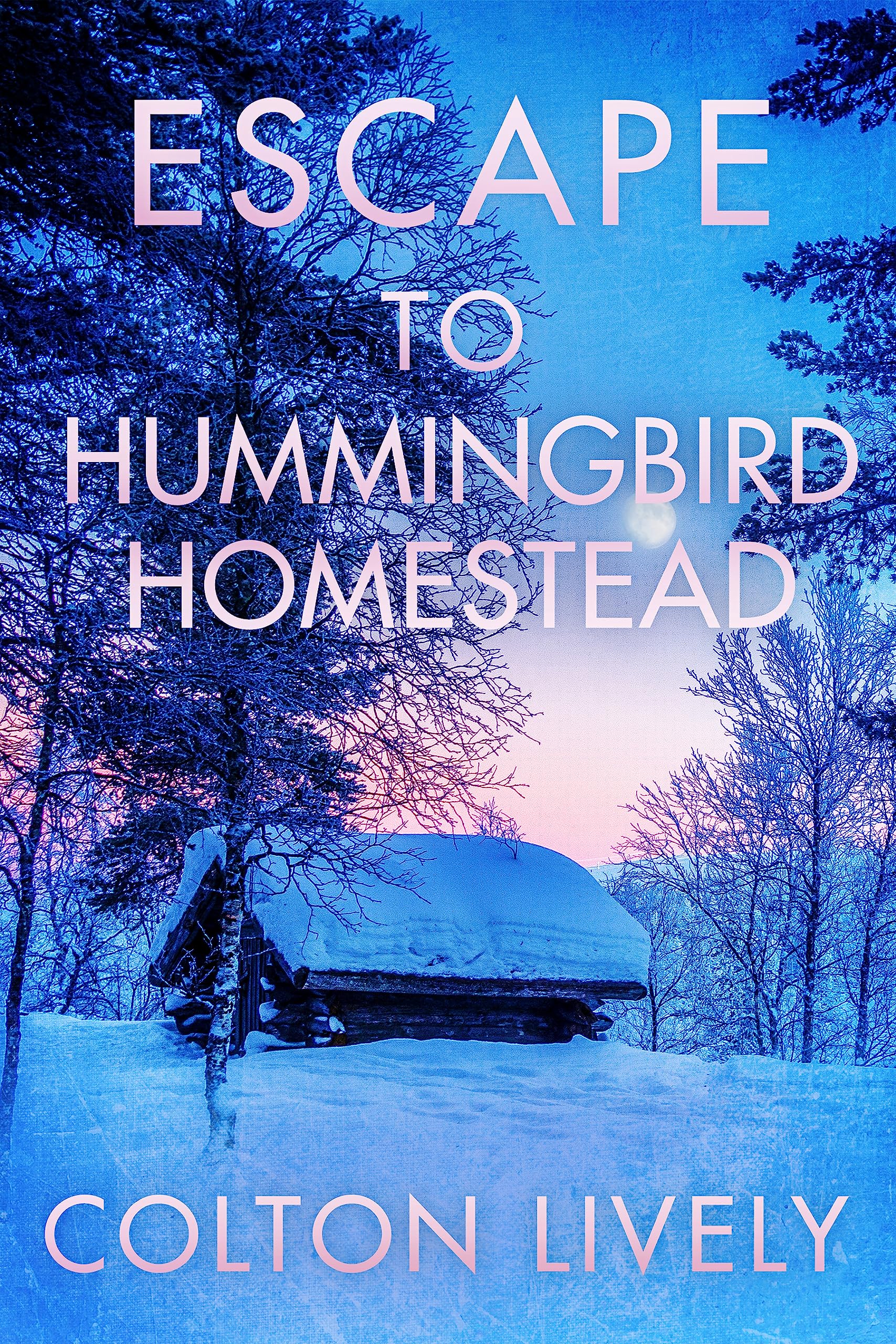 Escape to Hummingbird Homestead: A Small Town Post Apocalypse EMP Thriller