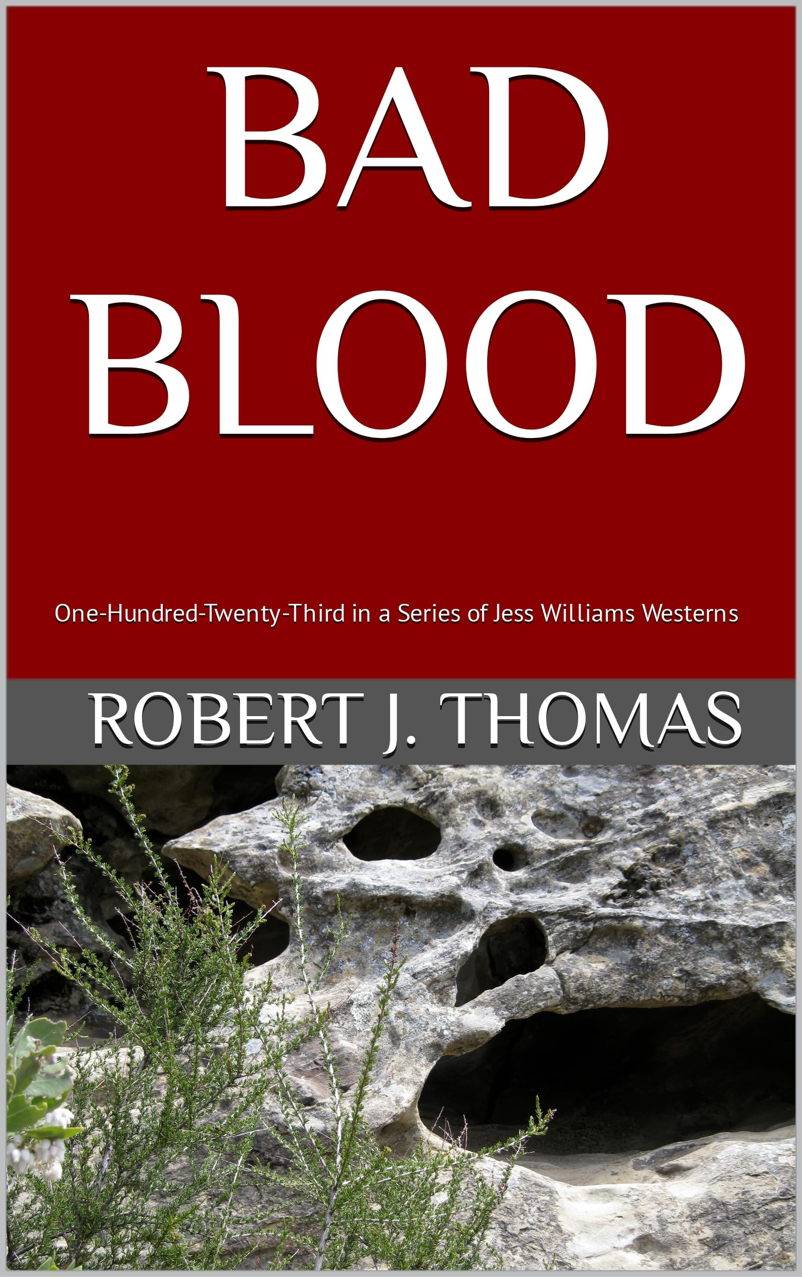 BAD BLOOD book cover