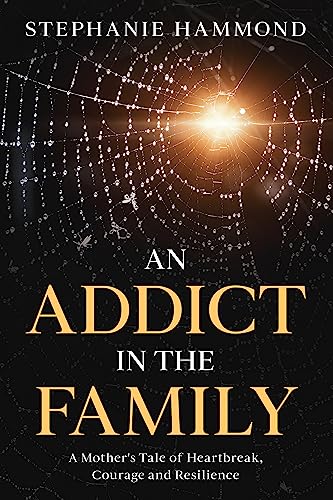 An Addict in the Family: A Mother's Tale of Heartbreak, Courage and Resilience