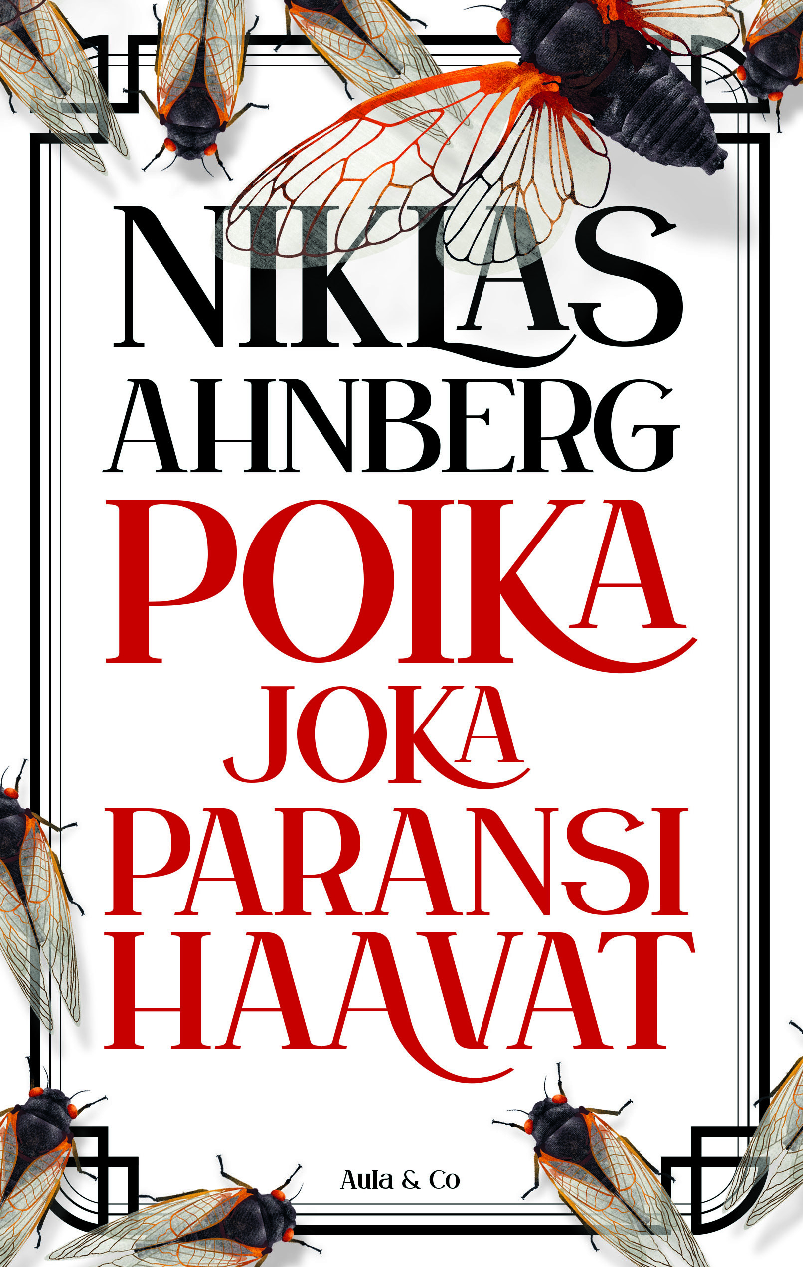 Poika joka paransi haavat