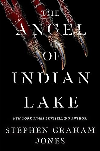 The Angel of Indian Lake cover