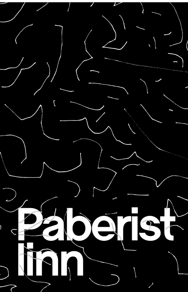 Paberist linn book cover