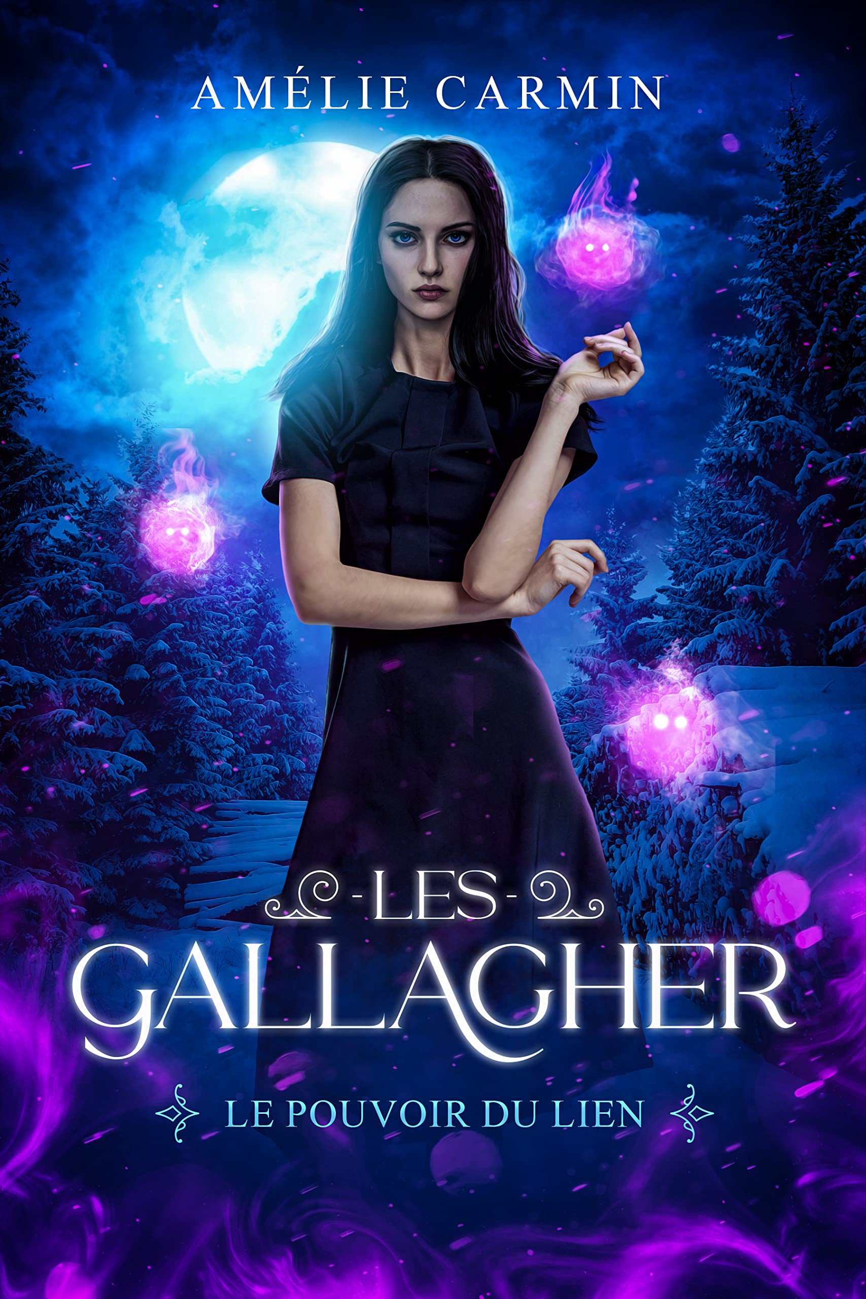 Le Pouvoir du Lien (Les Gallagher t. 1)
