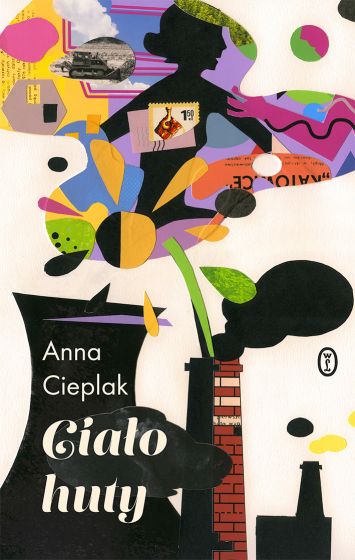 Ciało huty book cover