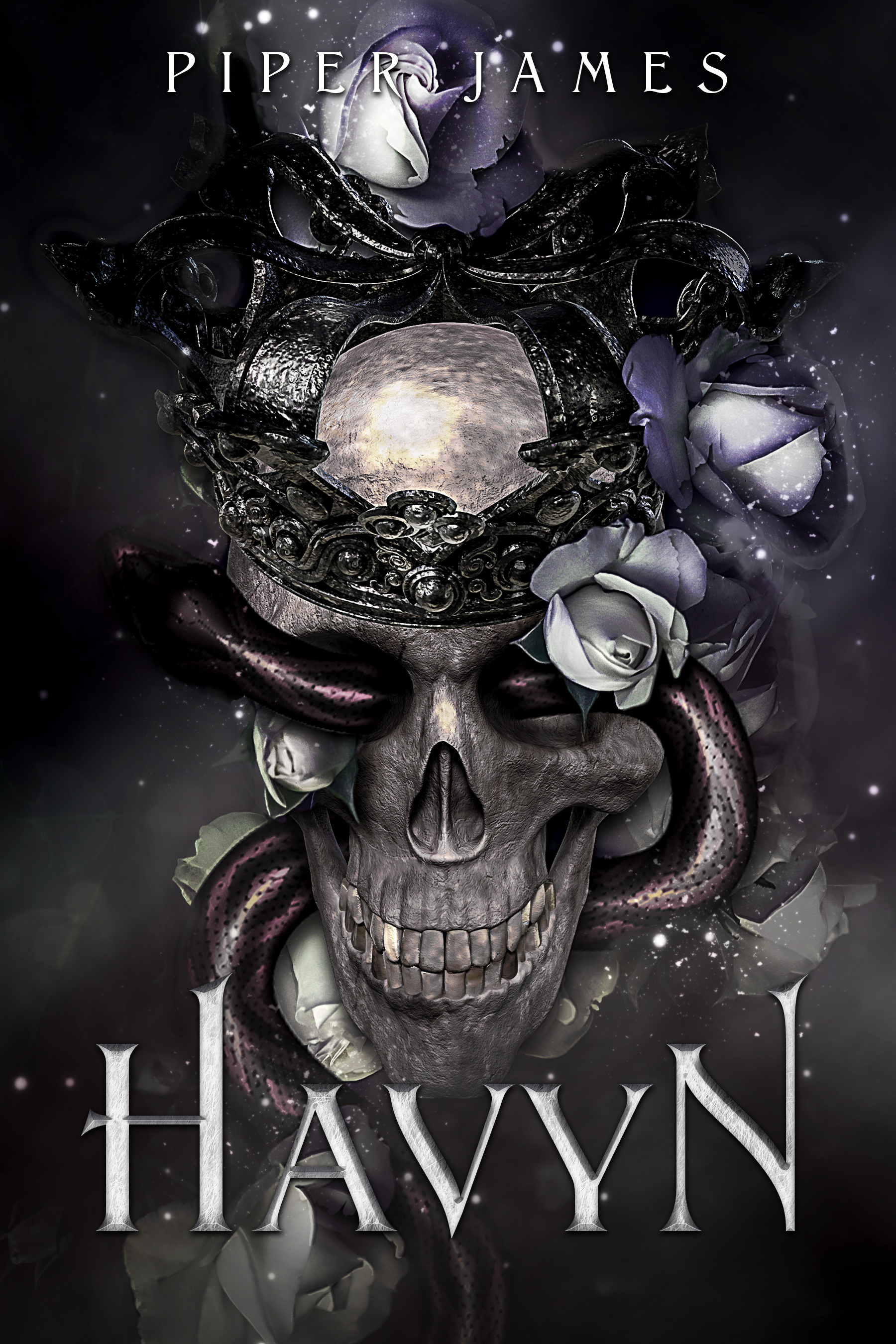 Havyn book cover