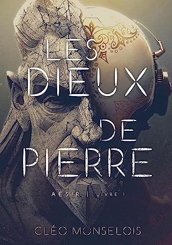 Les Dieux de Pierre: Aesir - Livre 1