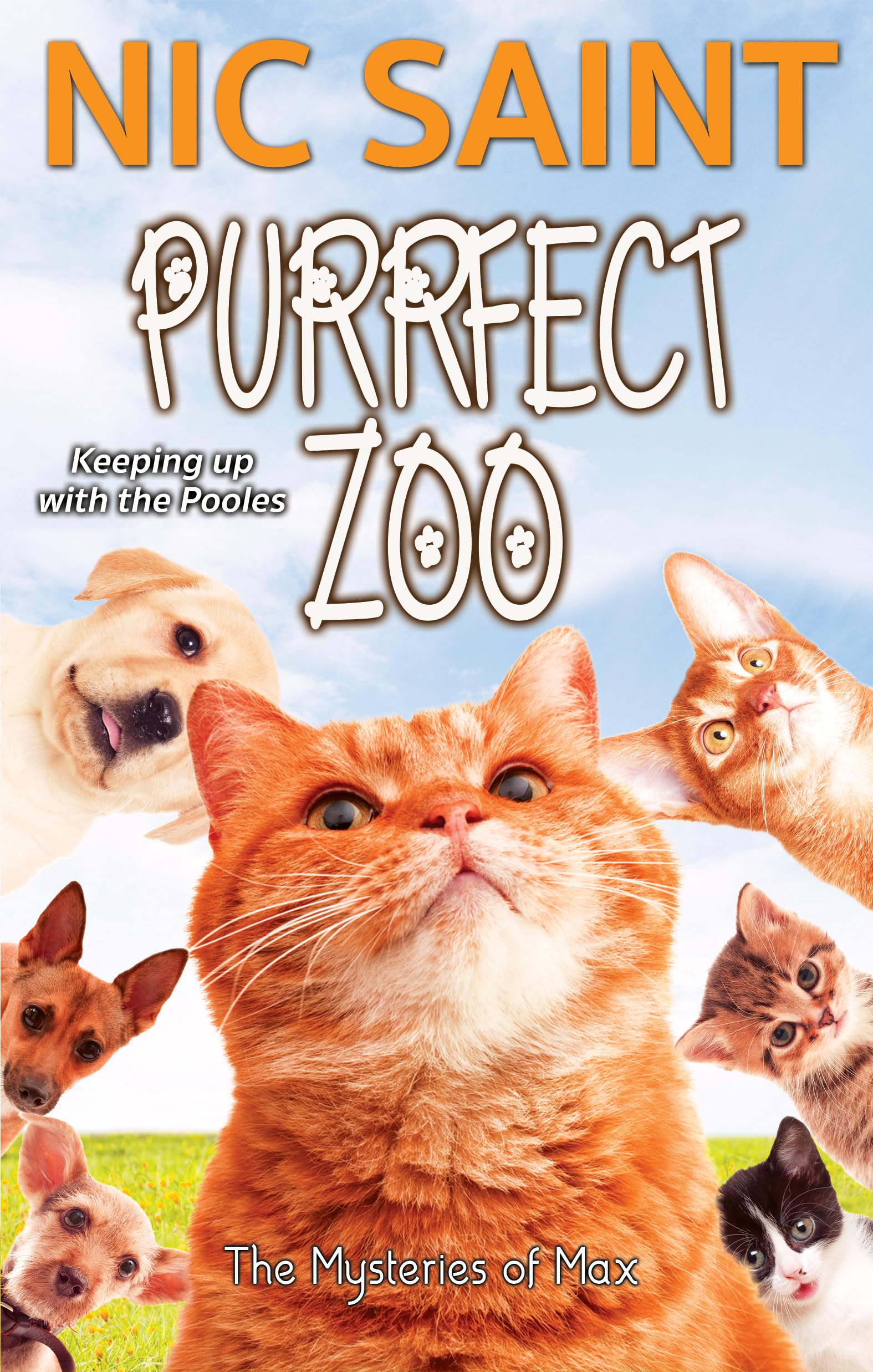 Purrfect Zoo