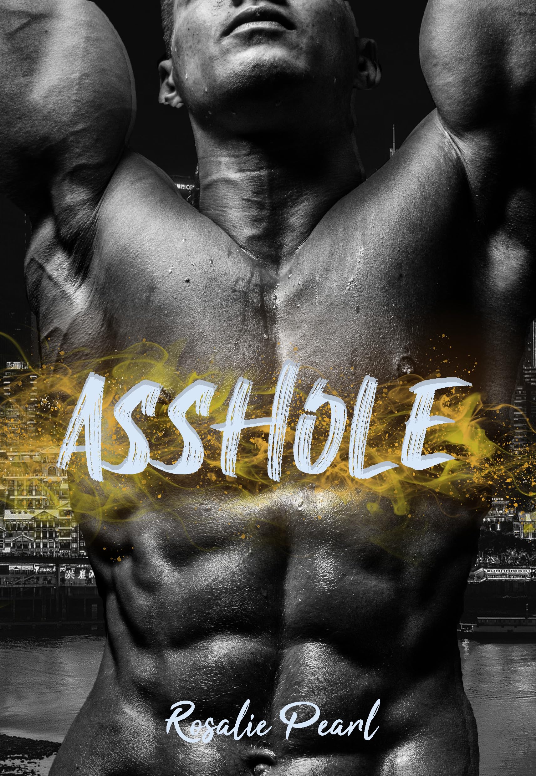 Asshole : une romance New Adult