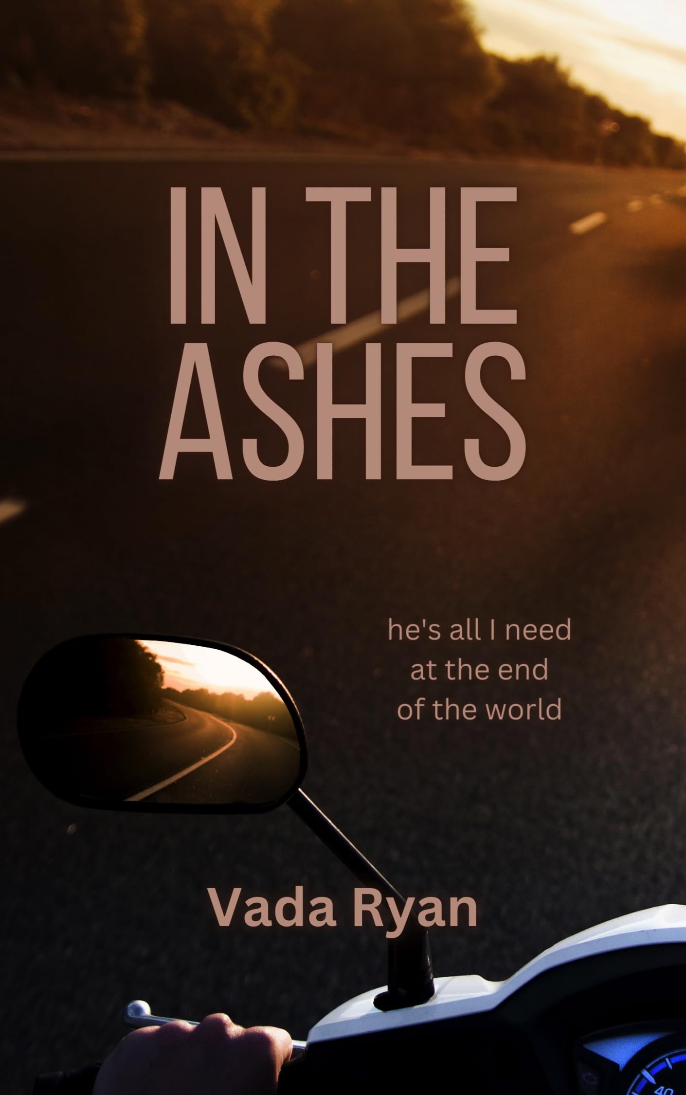 In the Ashes: A Post-Apocalyptic Romance
