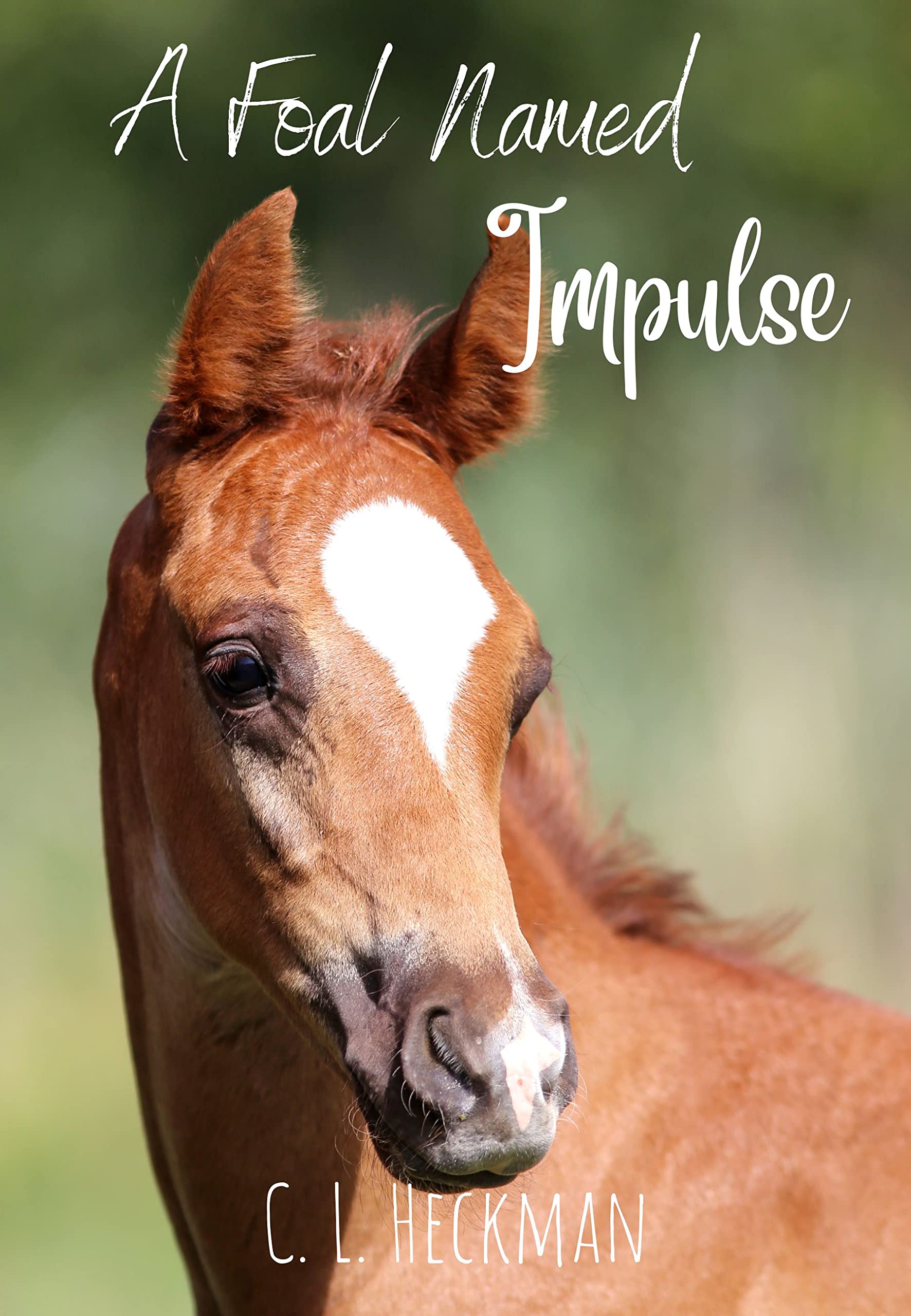 A Foal Named Impulse