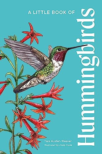 A Little Book of Hummingbirds