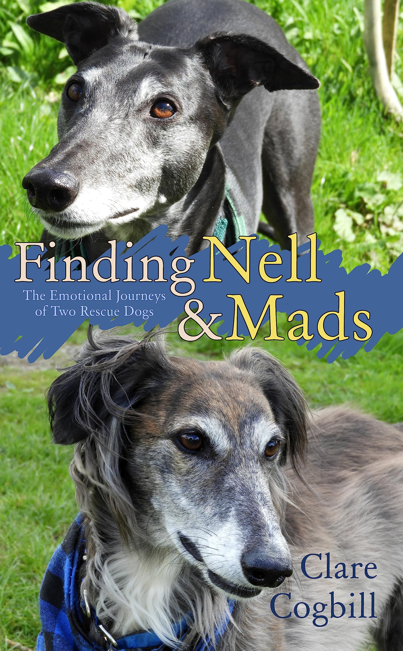 Finding Nell and Mads: The Emotional Journeys of Two Rescue Dogs