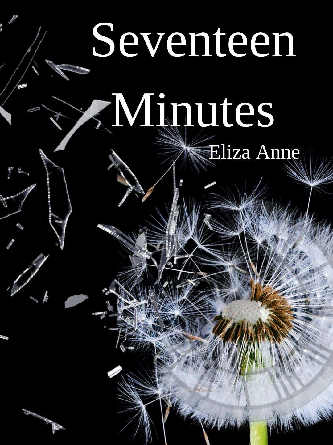 Seventeen Minutes