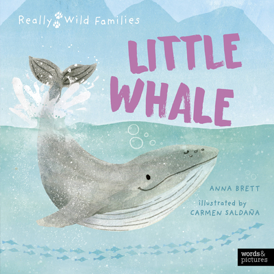 Little Whale book cover