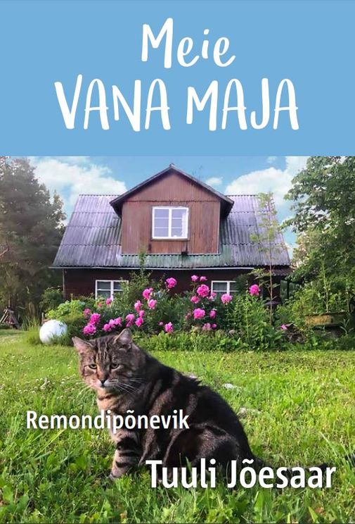 Meie vana maja. Remondipõnevik