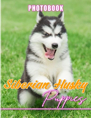 Siberian Husky Puppies Photo Book: Husky Puppies Photography for Back ...