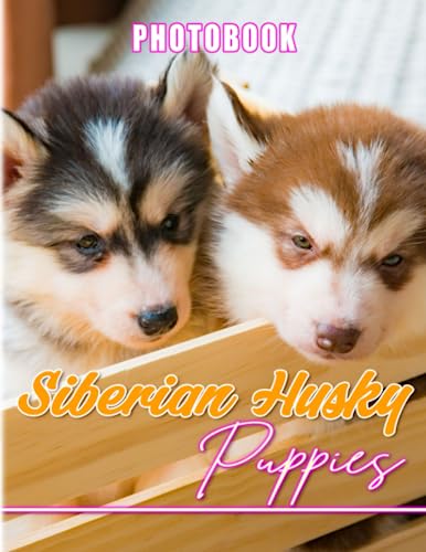 Siberian Husky Puppies Photo Book: Husky Puppies Photography for Back ...