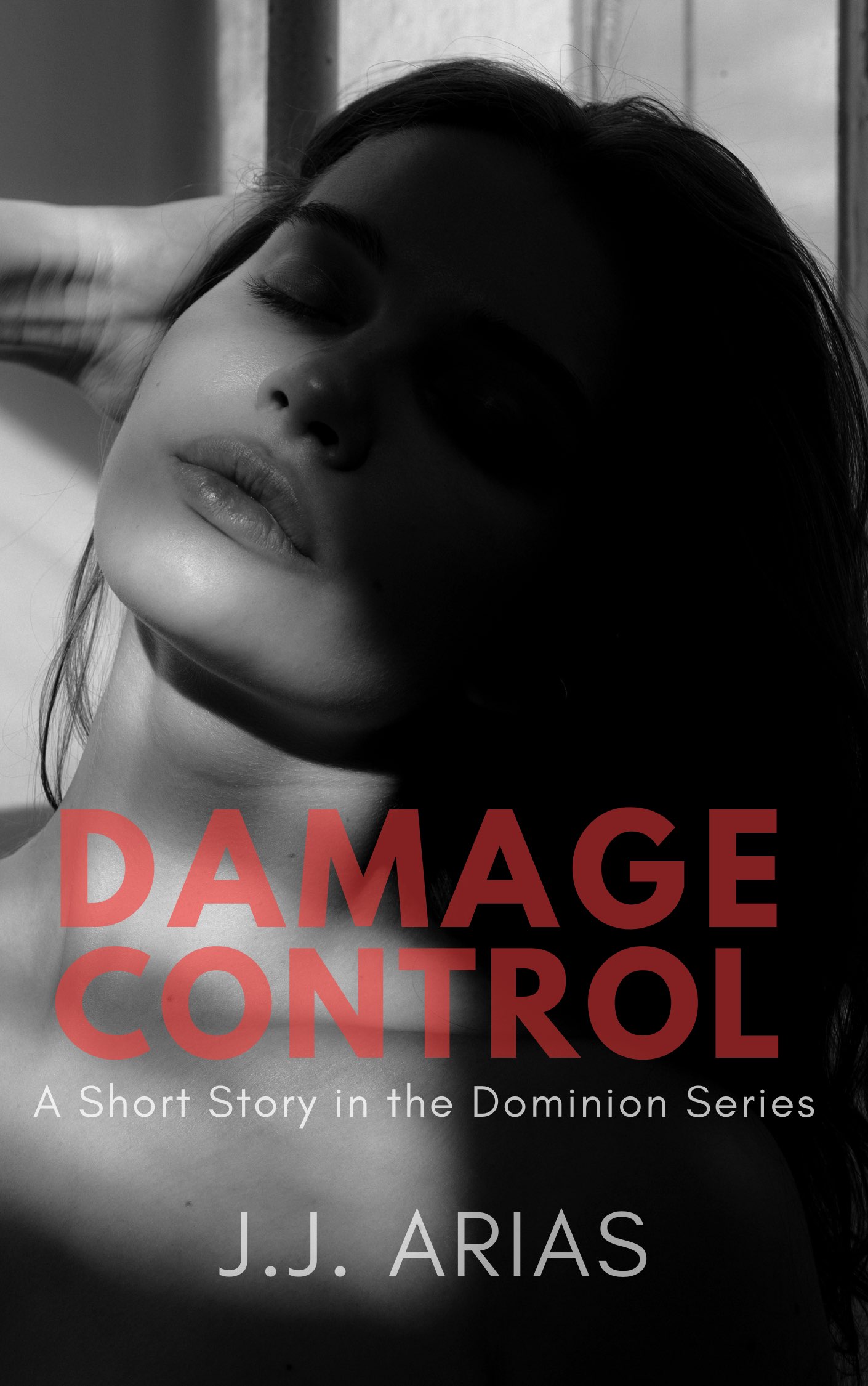 Damage Control book cover