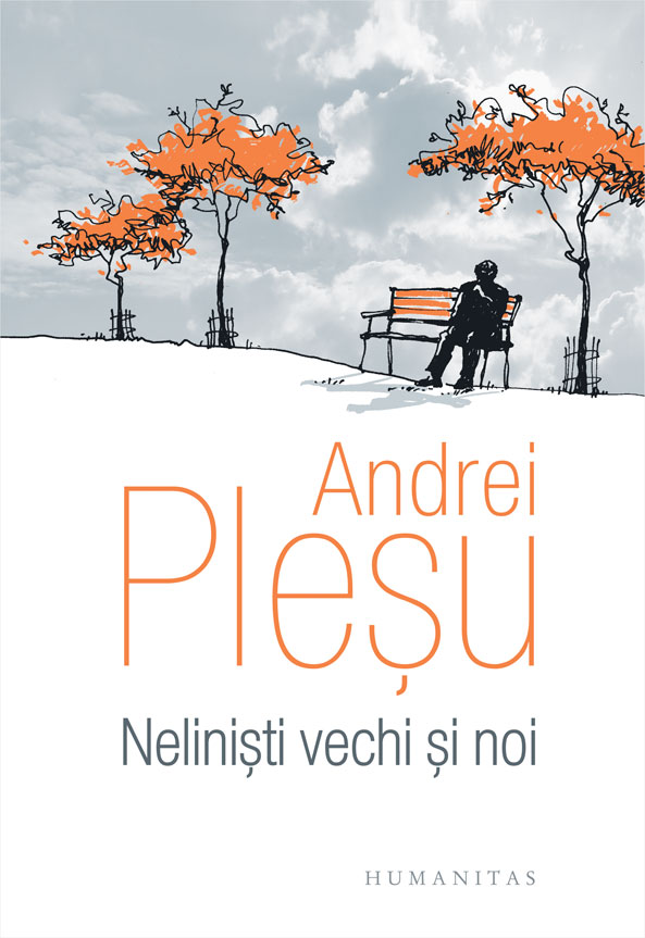 Neliniști vechi și noi book cover