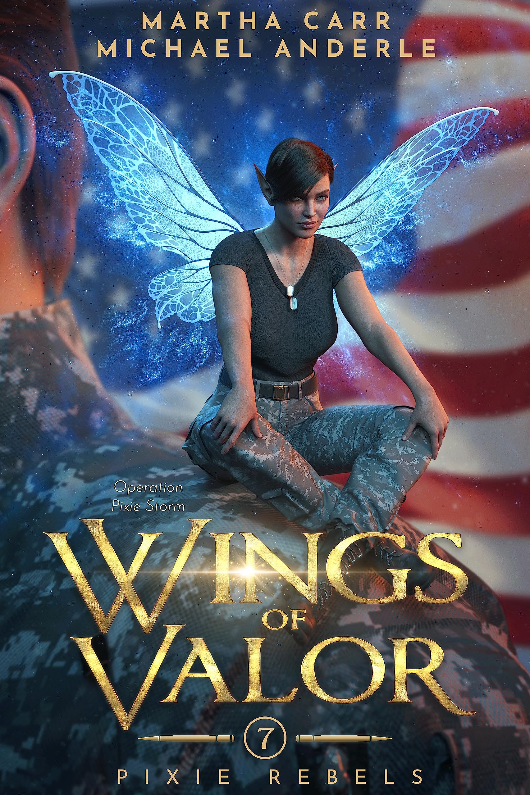 Wings of Valor book cover