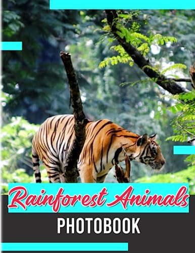 Rainforest Animals Photobook: Be Entertained With These Images of ...