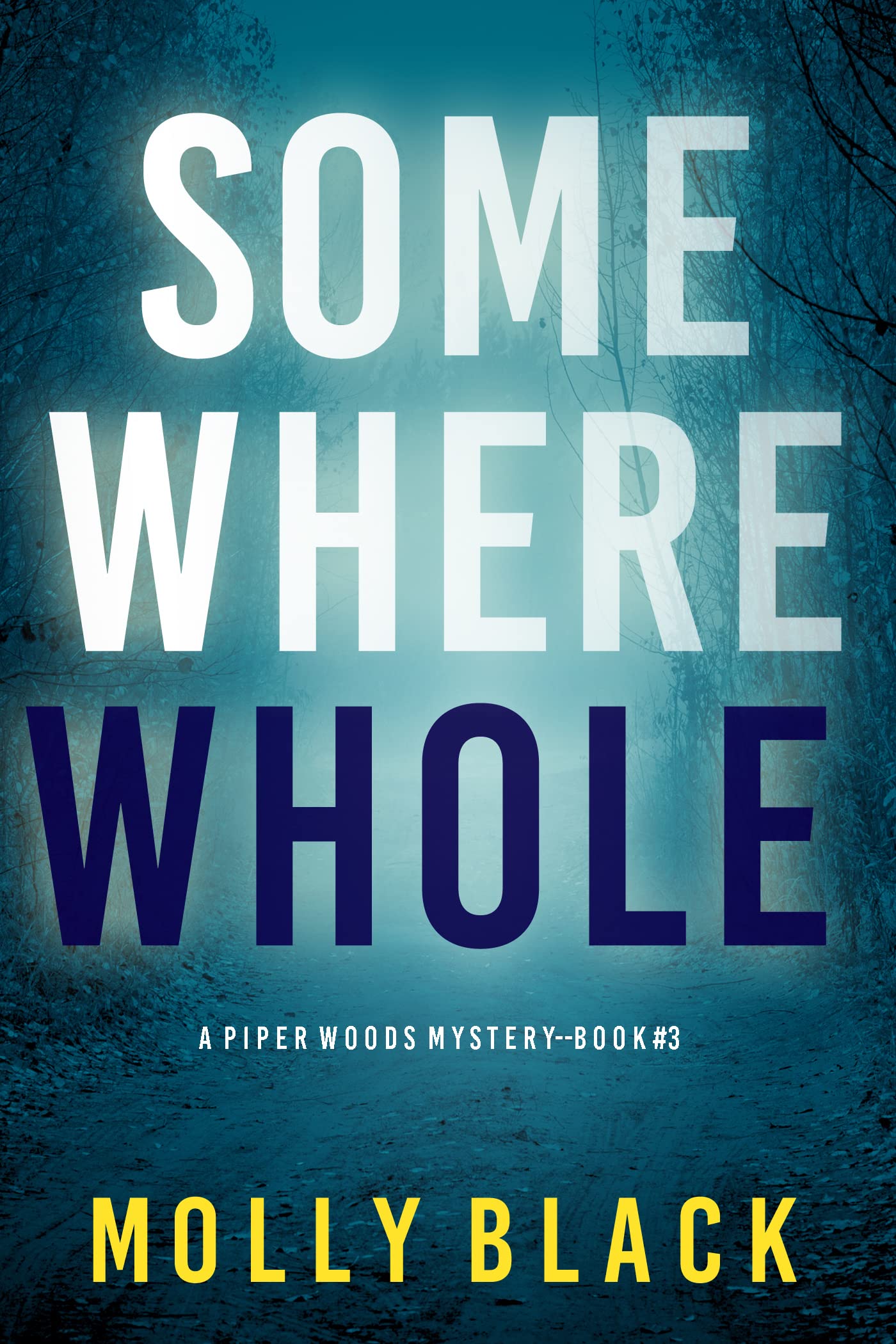 Somewhere Whole book cover